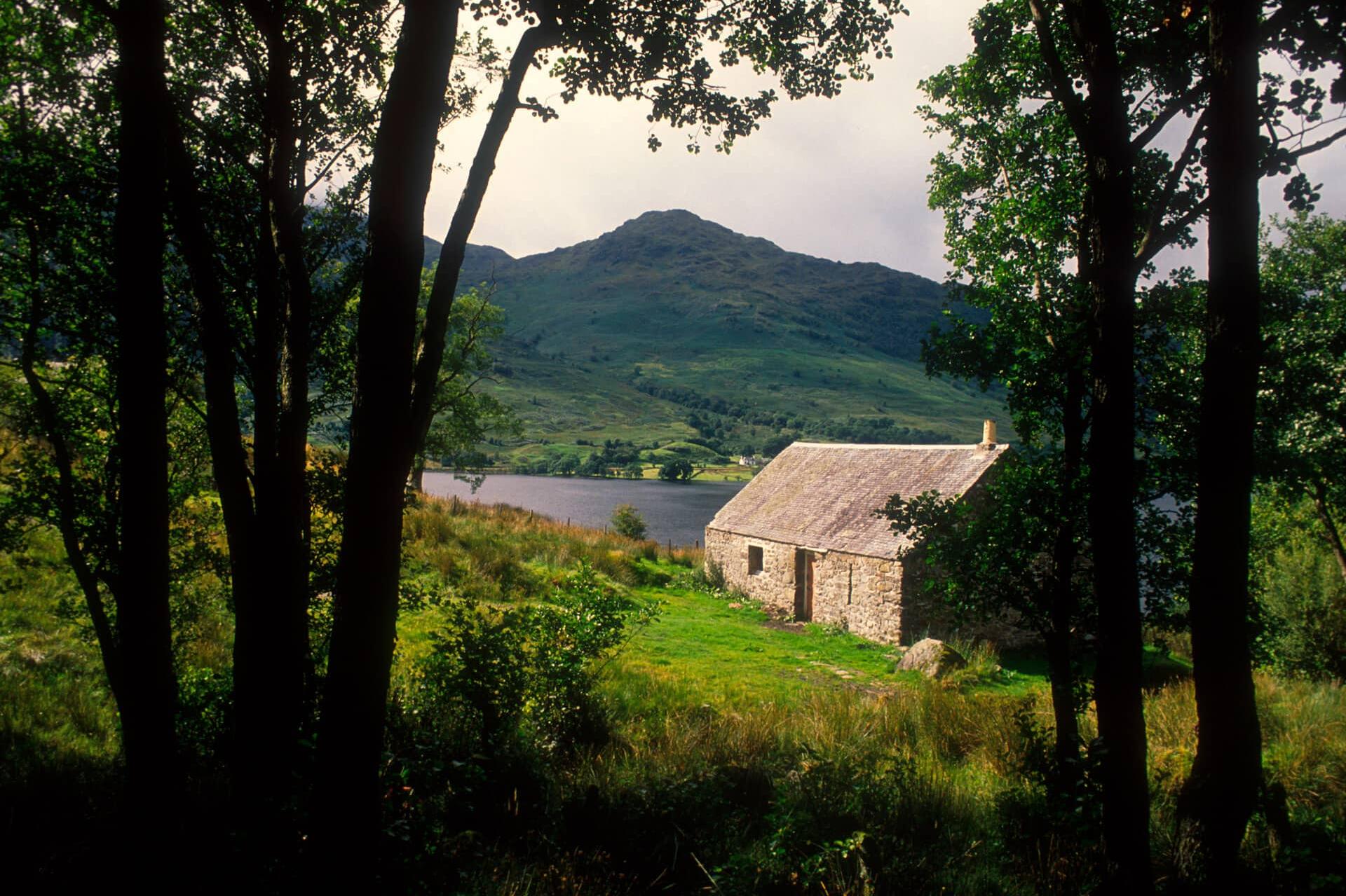 Looking through forest clearing toward Loch Lomond