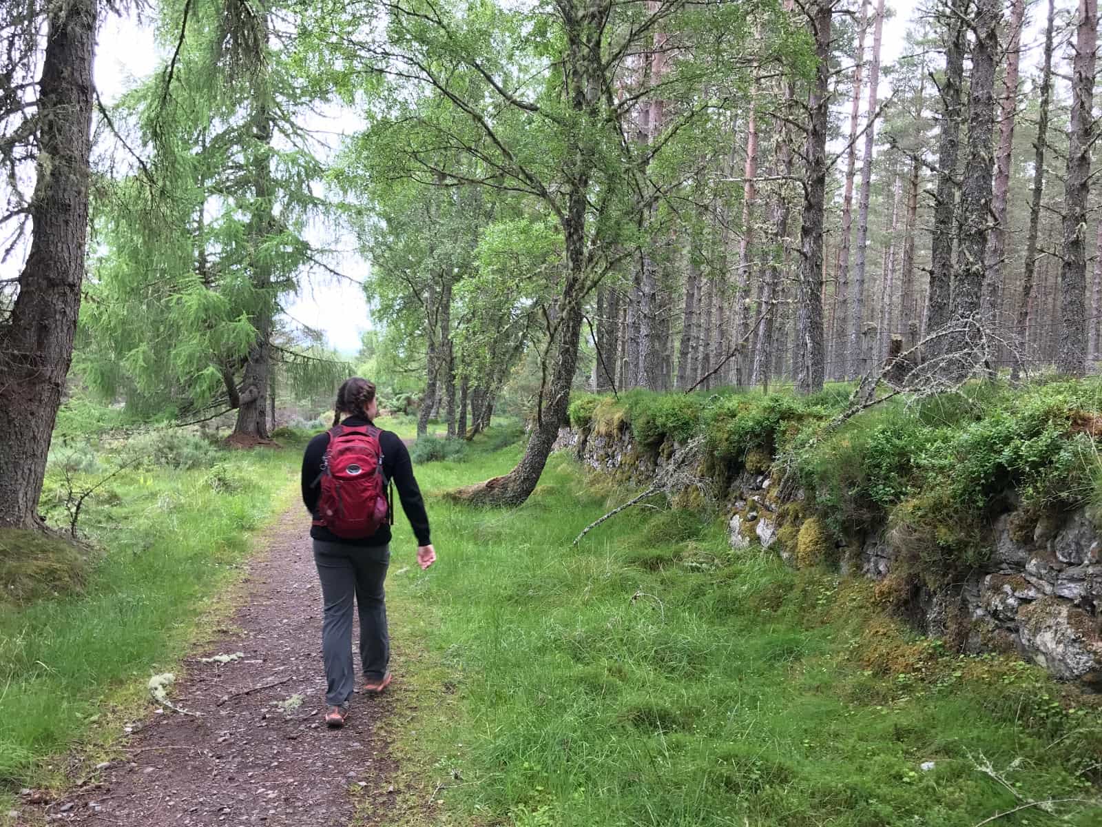 Blackfold to Inverness, Great Glen Way walking Holidays