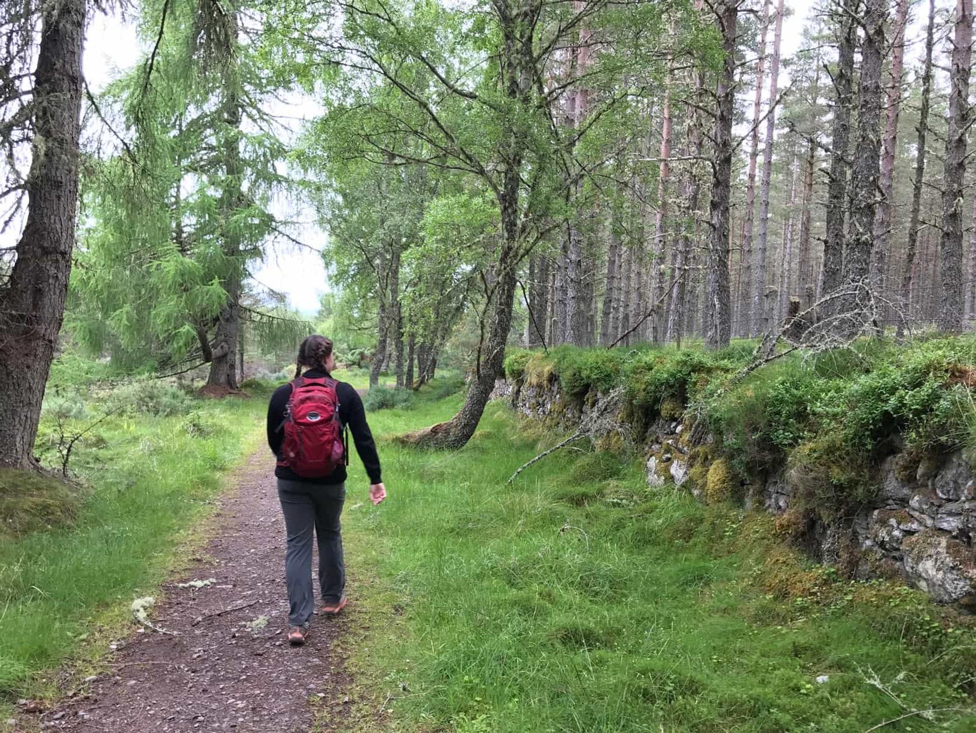 Blackfold to Inverness, Great Glen Way walking Holidays