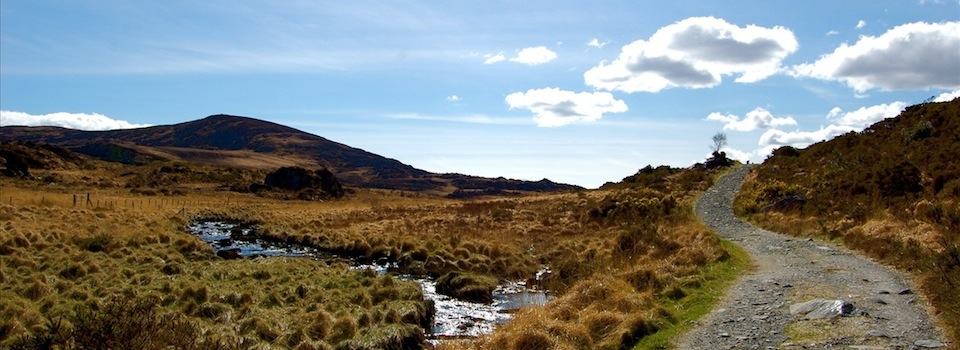Marshland on the Kerry Way