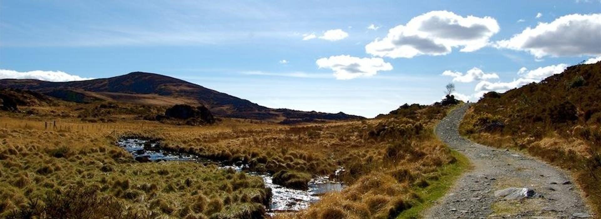Marshland on the Kerry Way