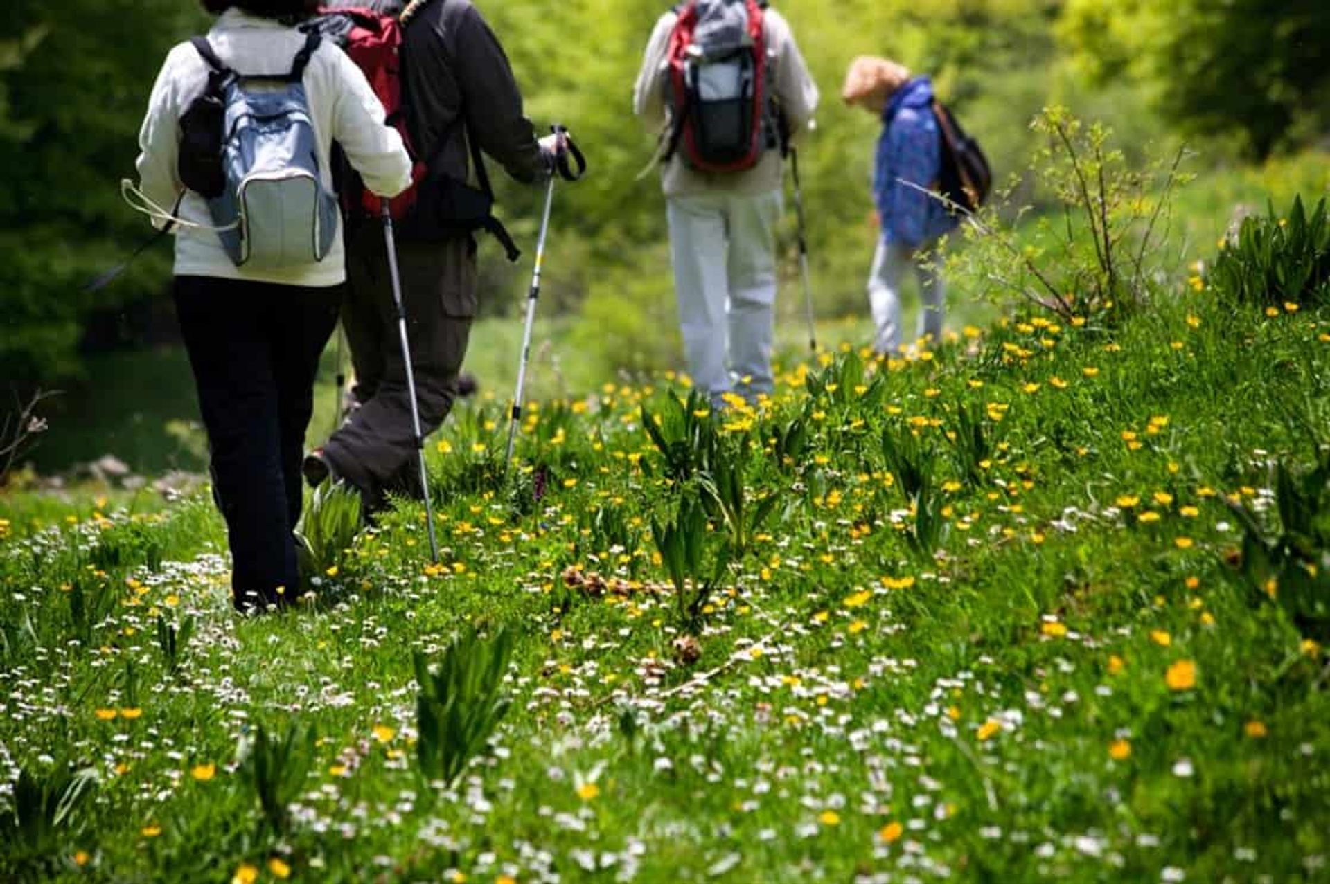 Walkers in Spring