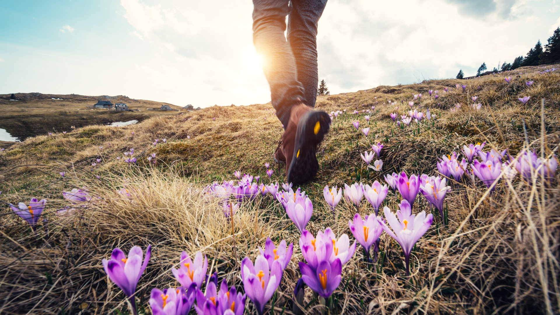 hiking among spring flowers on a sunny day