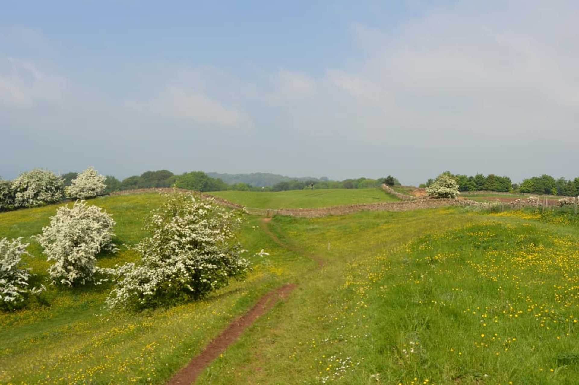 Cotswold Way Route
