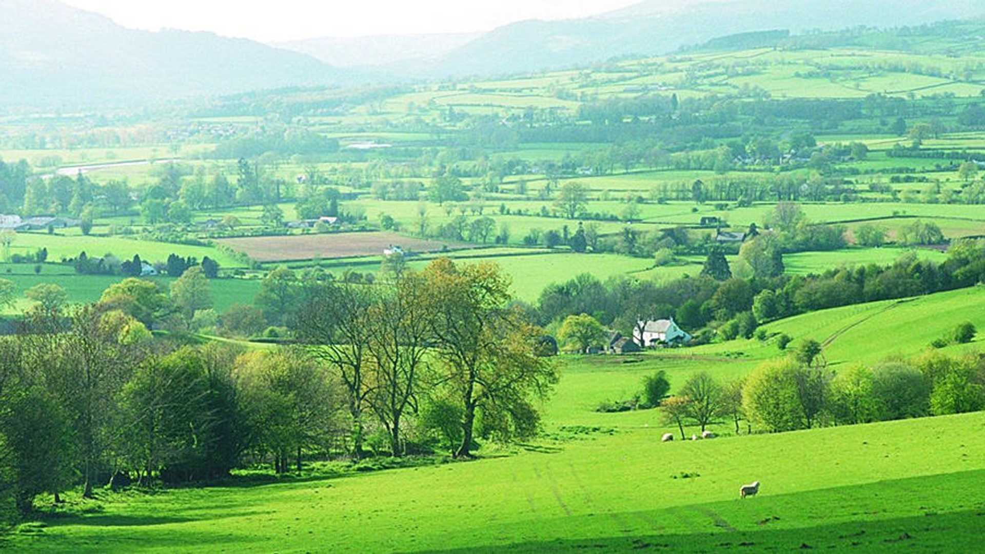 Walking Holidays Offas Dyke Path Herefordshire