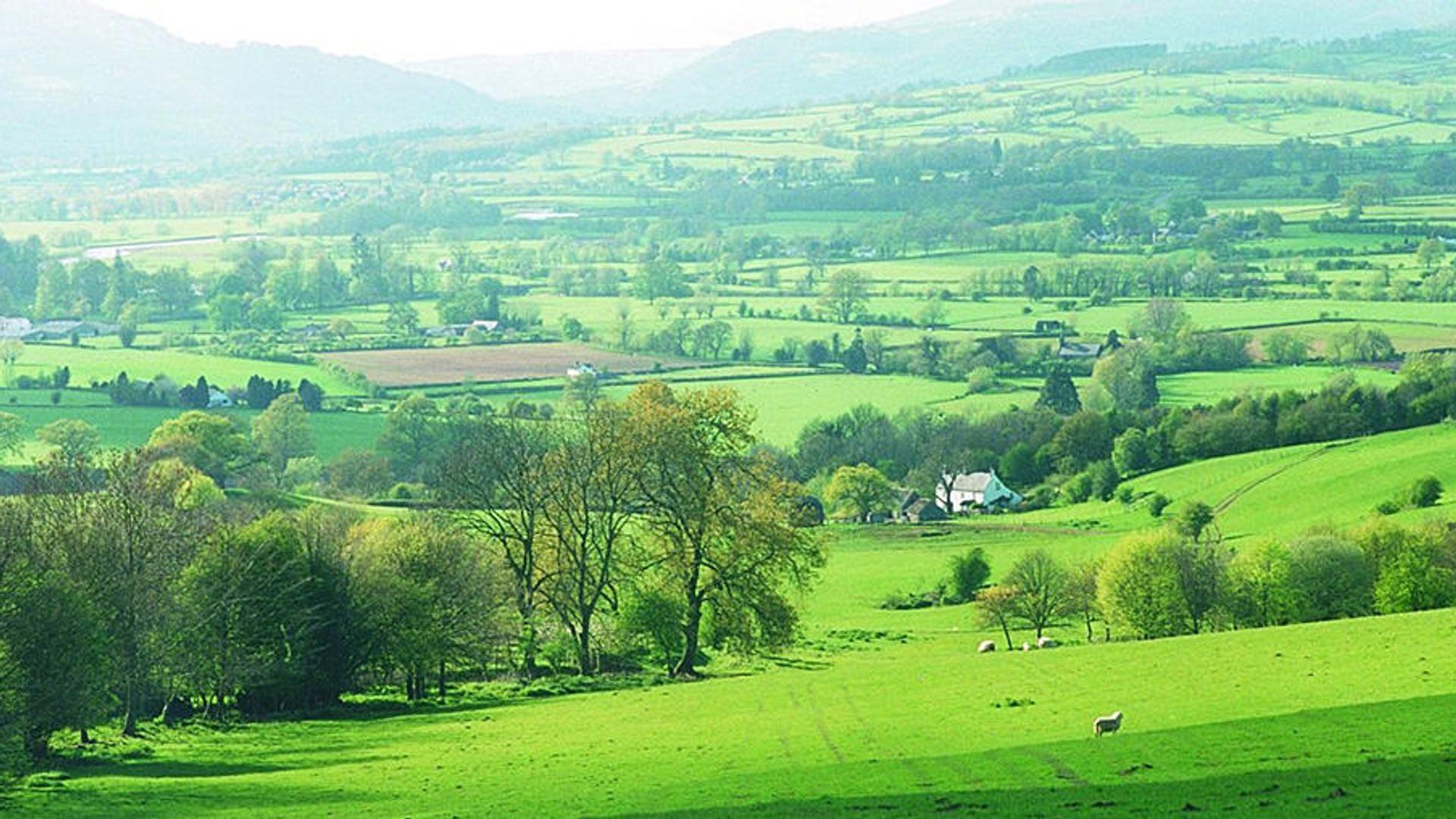 Walking Holidays Offas Dyke Path Herefordshire