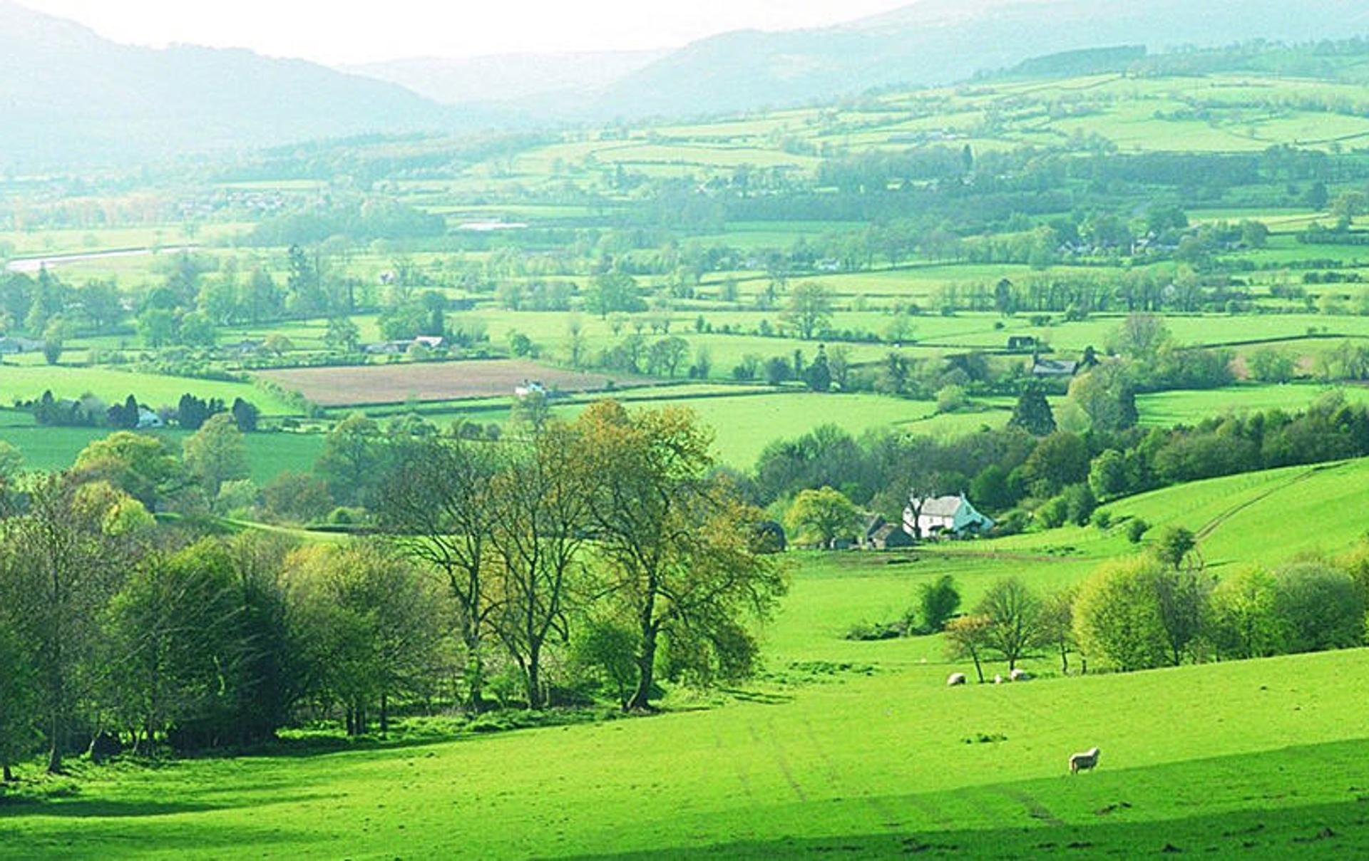 Walking Holidays Offas Dyke Path Herefordshire