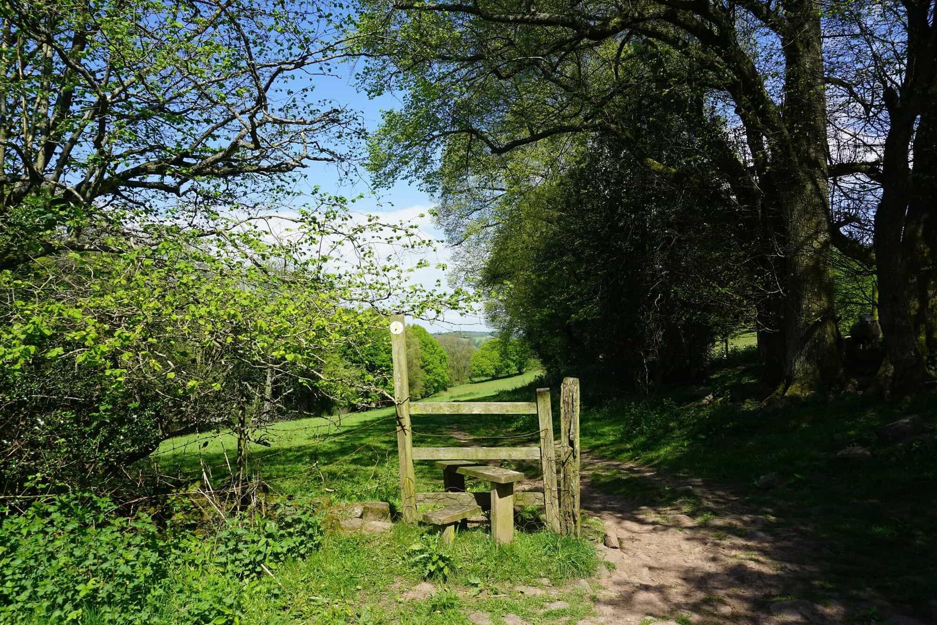 A shaded woodland path and stile on the Offa’s Dyke Path walking holiday