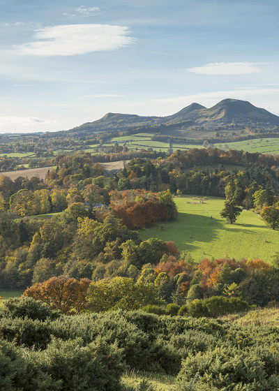 Britain's Favourite Walks: Top 100 St Cuthbert's Way