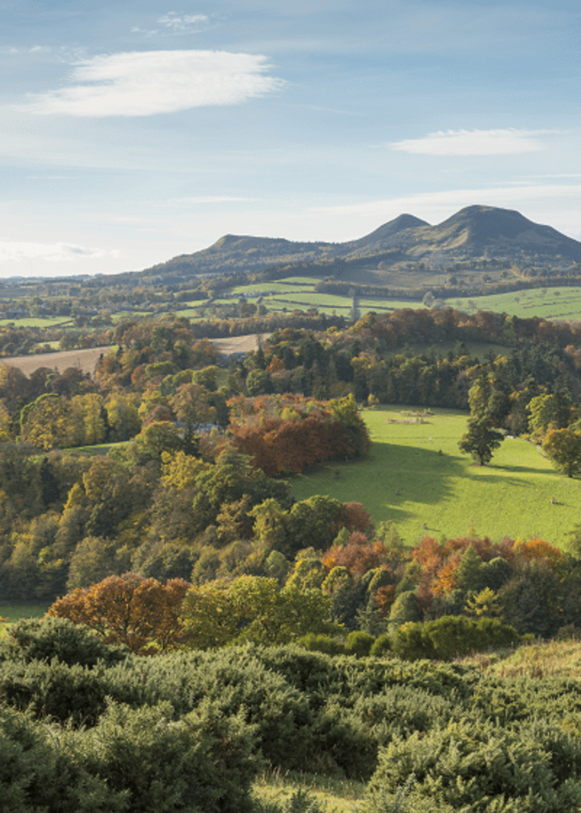Britain's Favourite Walks: Top 100 St Cuthbert's Way