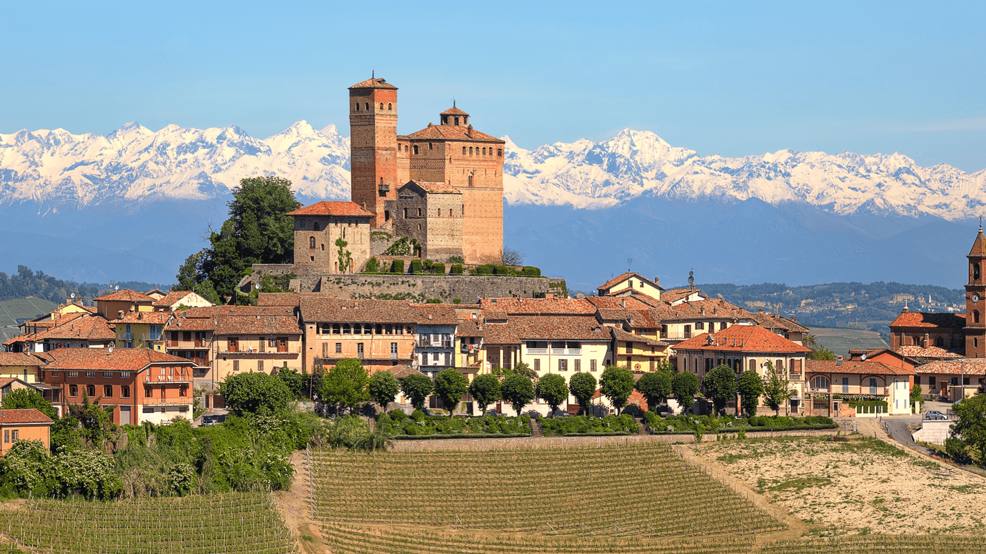 Barolo Piemonte with Alps in Background