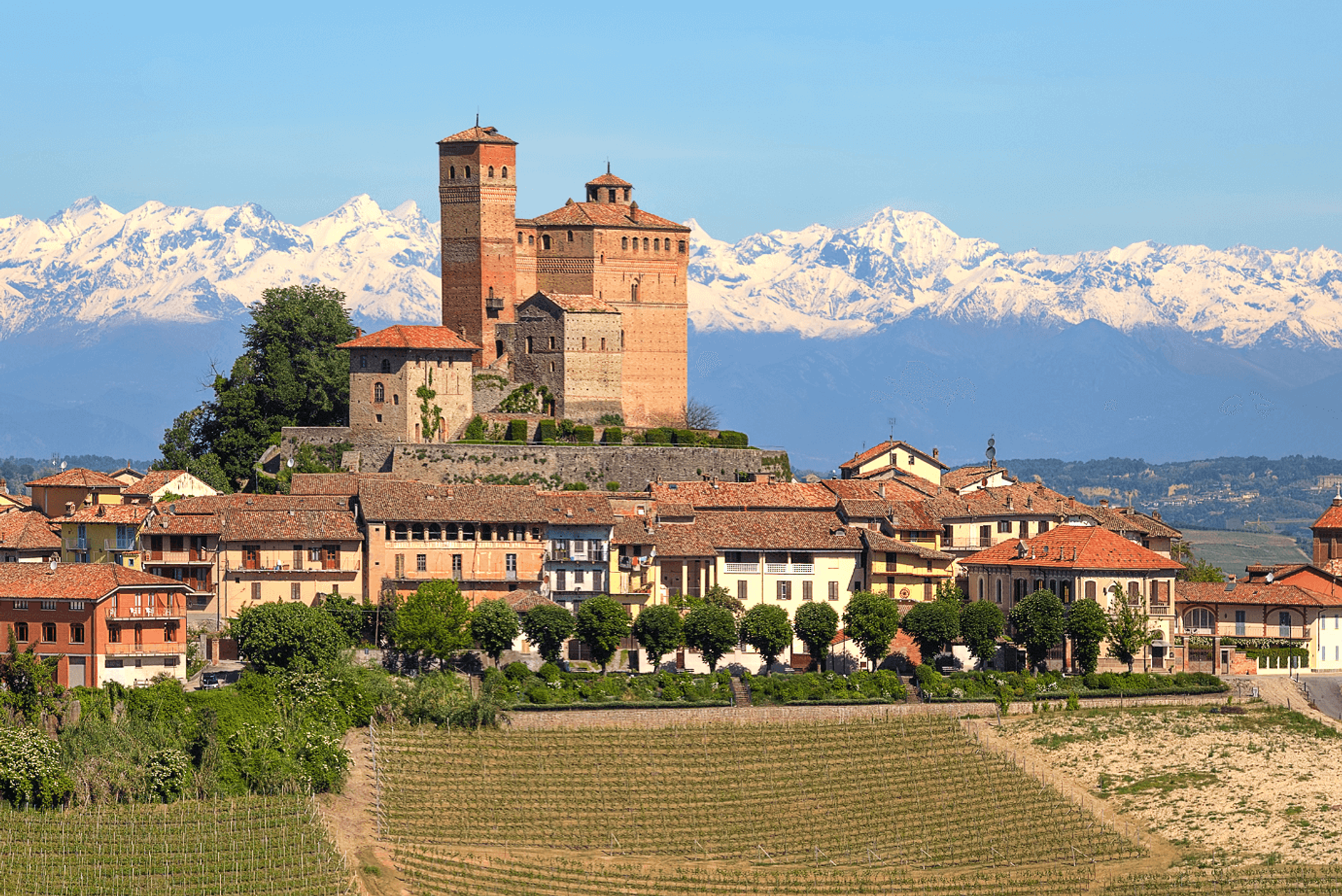 Barolo Piemonte with Alps in Background