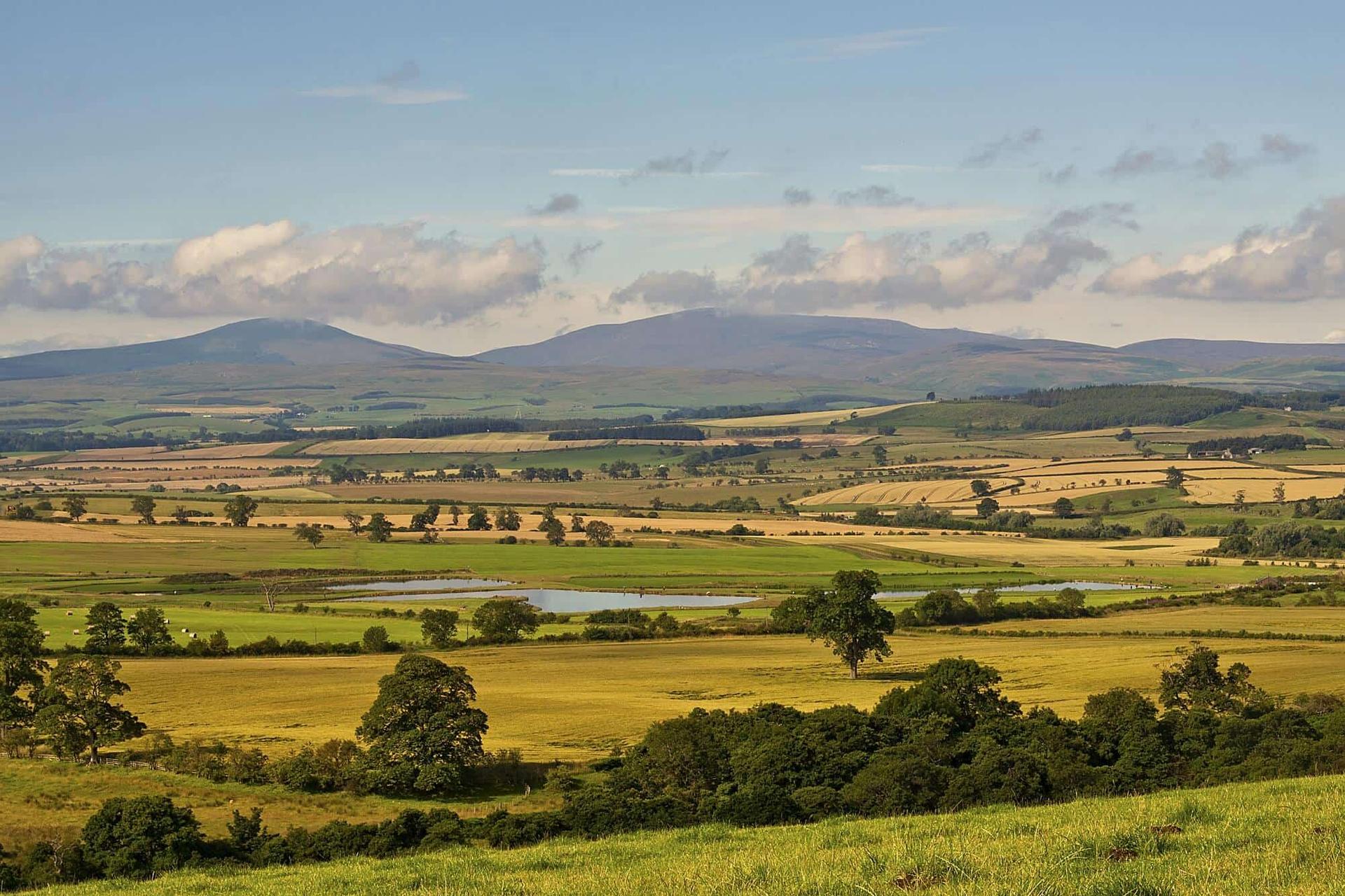 Cheviot Hills St Cuthberts Way