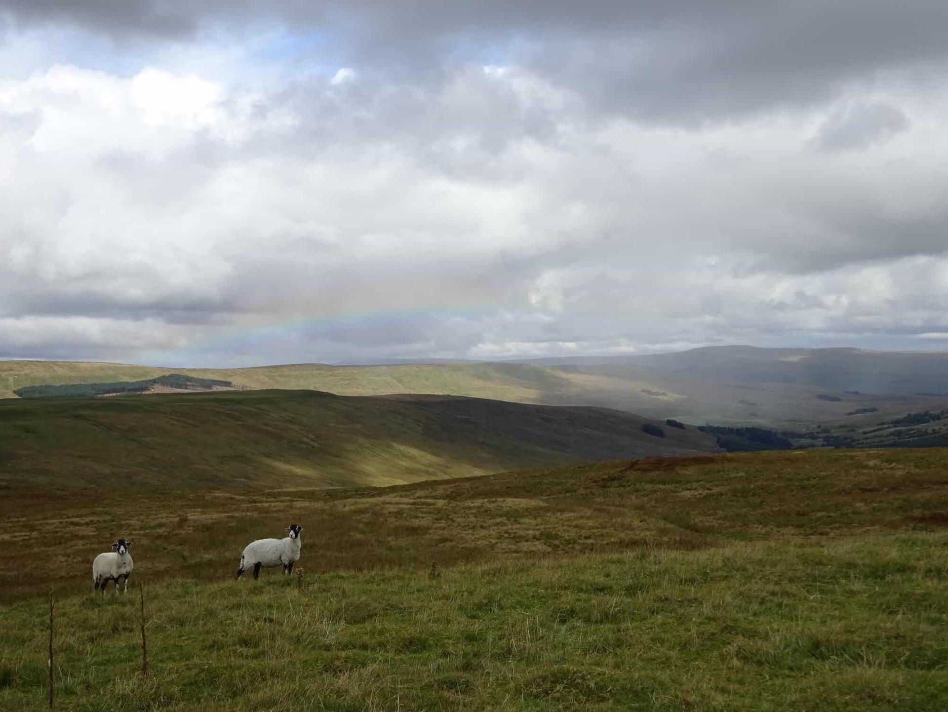 Yorkshire Walking Holidays