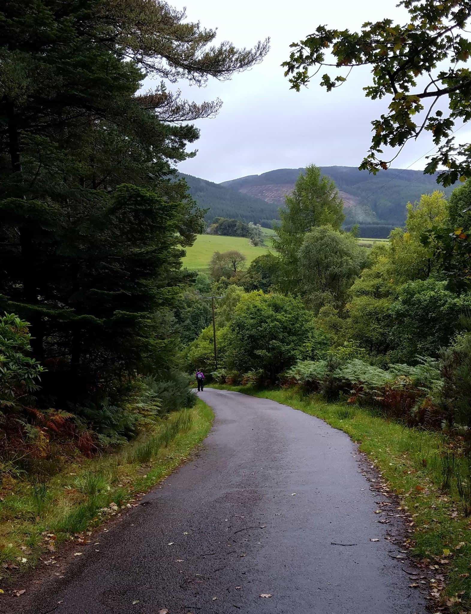 Walking holidays Speyside Way