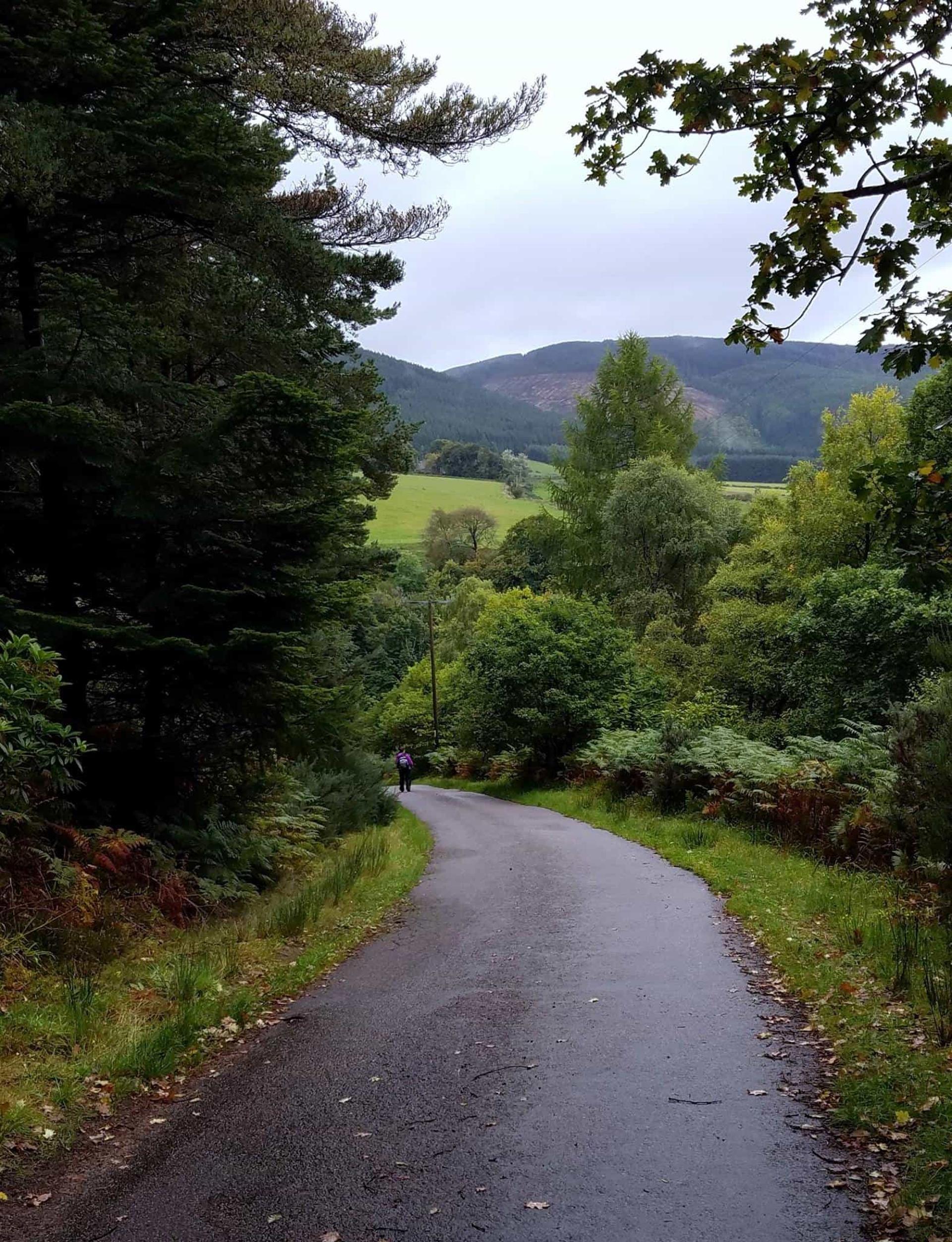 Walking holidays Speyside Way