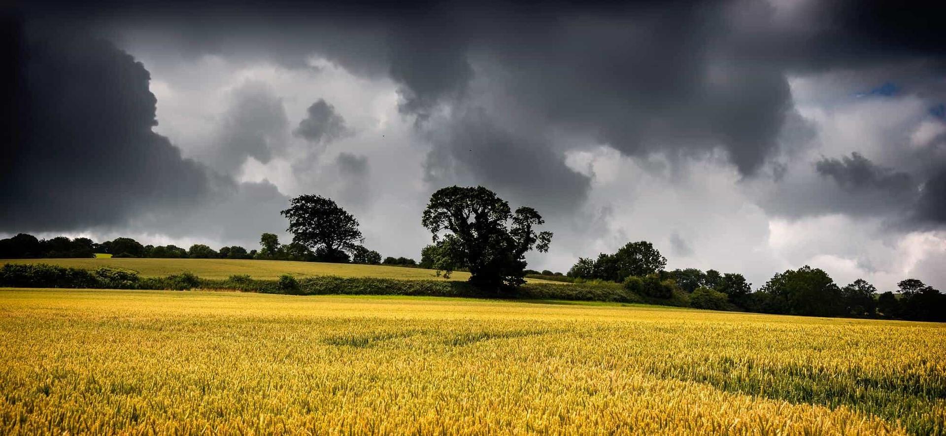 Washford walking UK Holidays