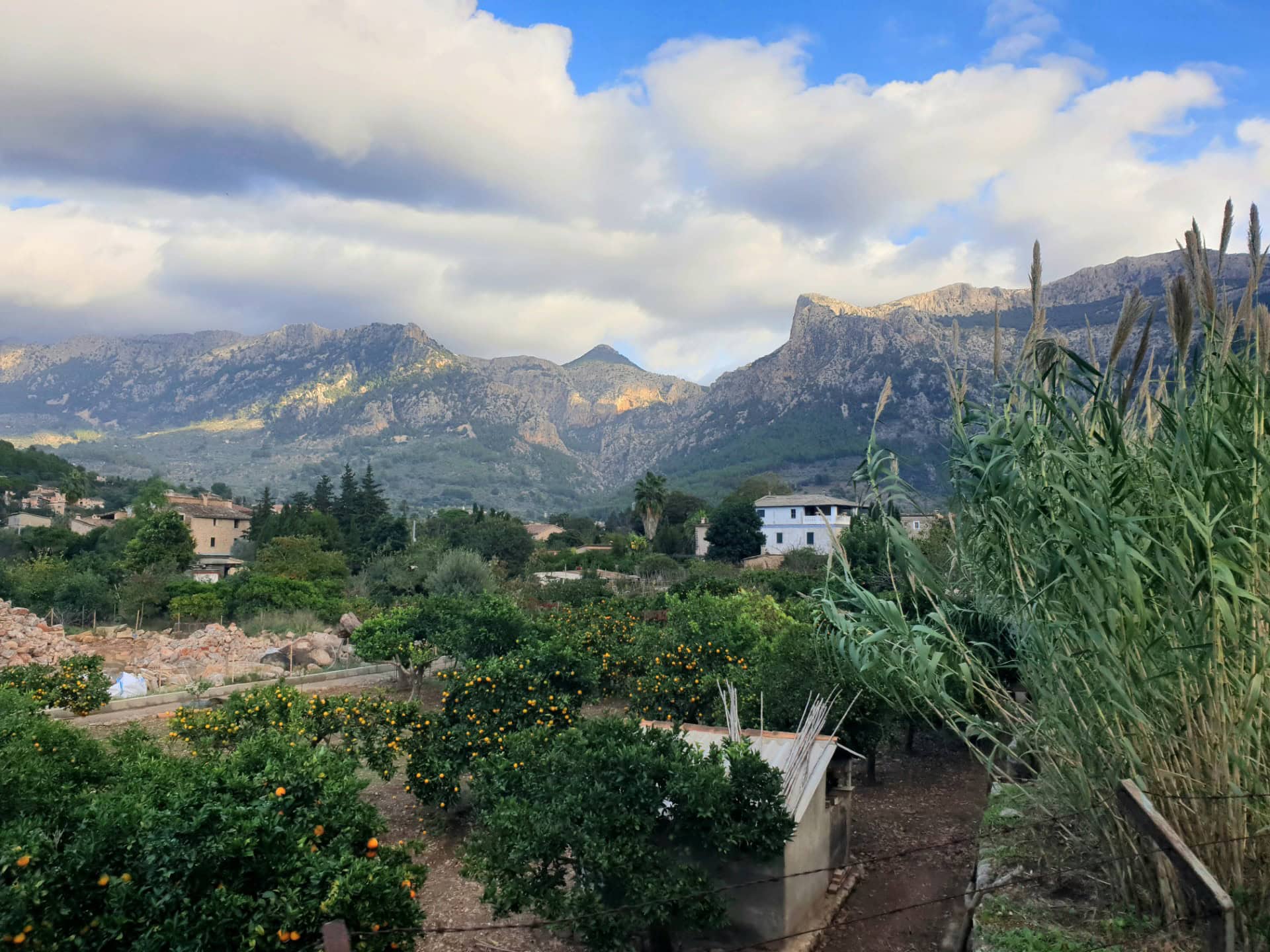 Discover the Magic of Mallorca