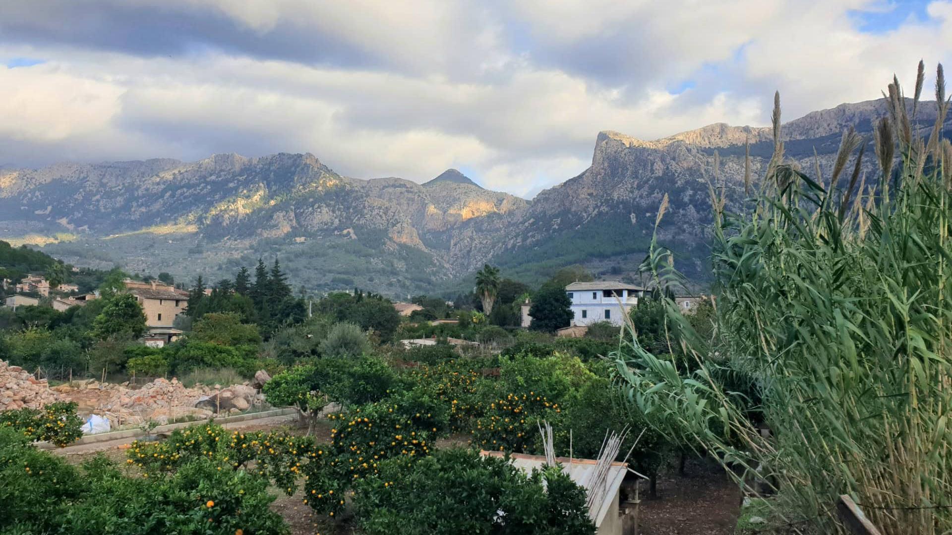 Discover the Magic of Mallorca