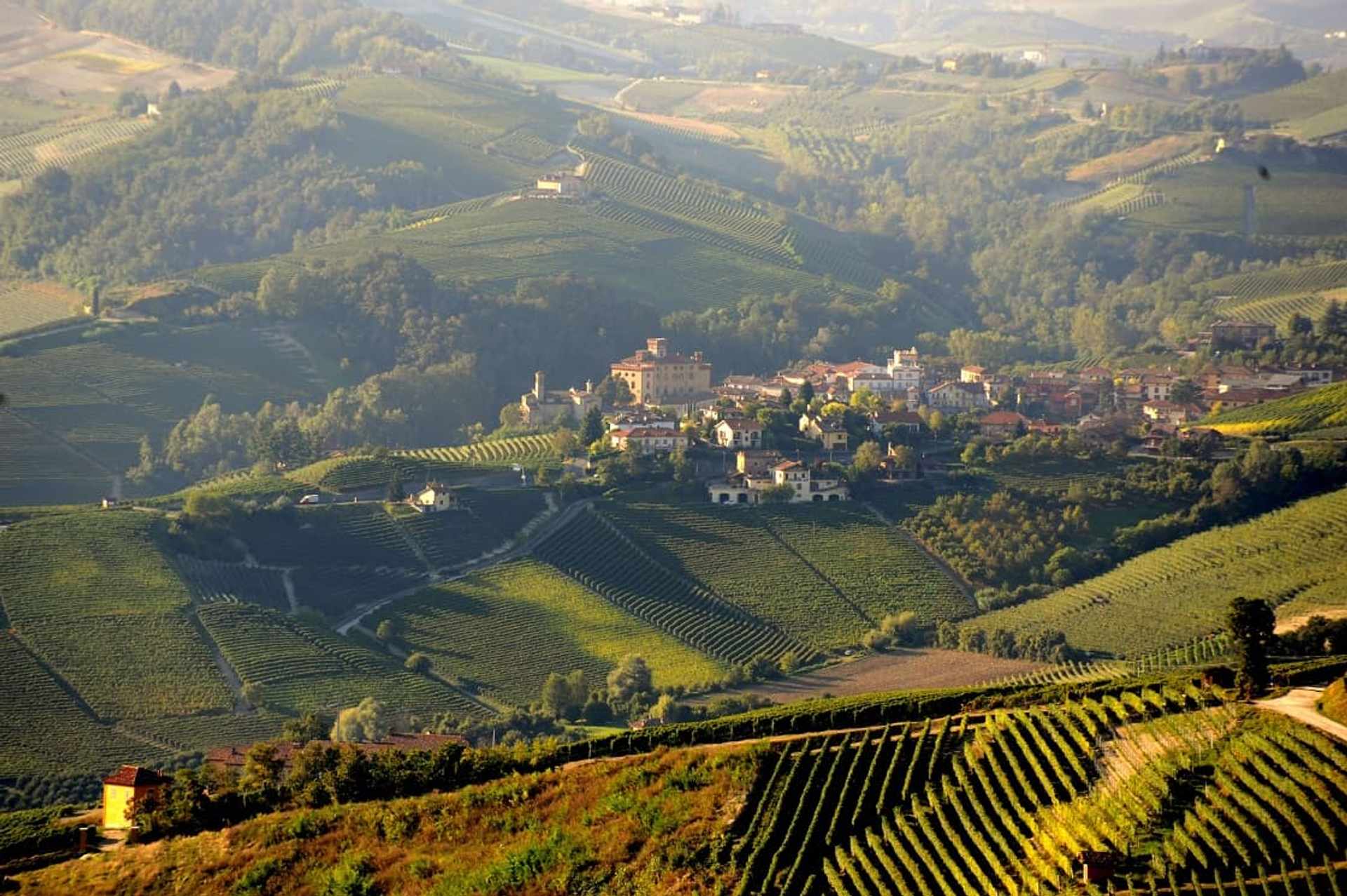 Piemonte Barolo