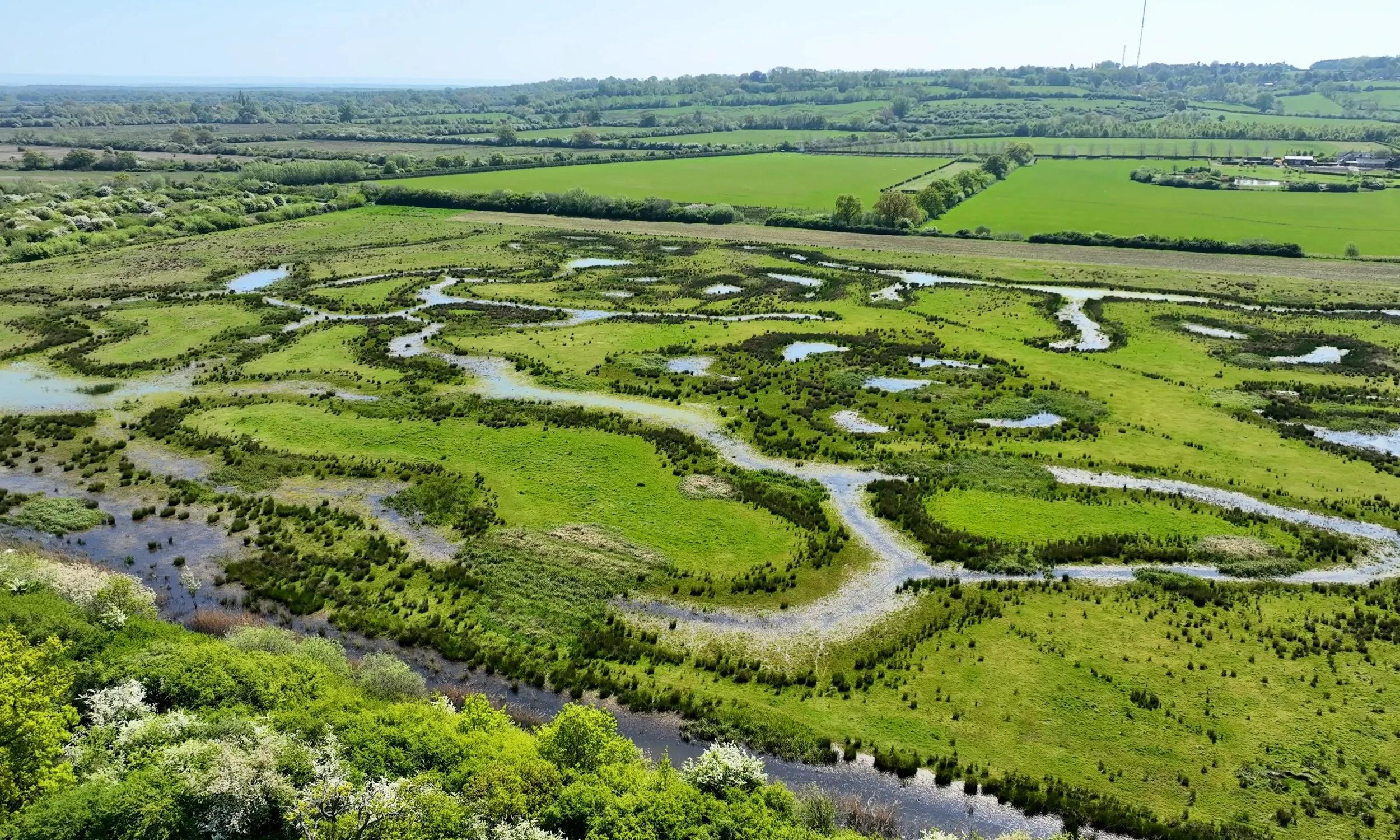 An aerial view of a meandering river system flowing through a lush green landscape with scattered pools of water and vegetation.