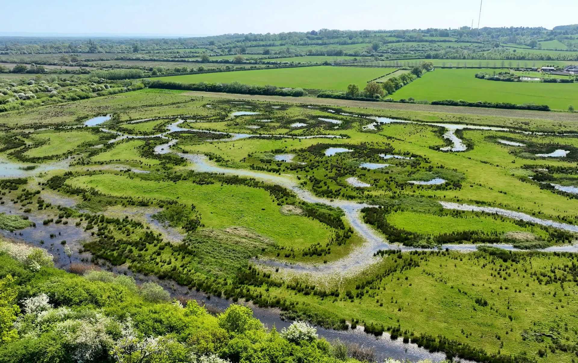 An aerial view of a meandering river system flowing through a lush green landscape with scattered pools of water and vegetation.