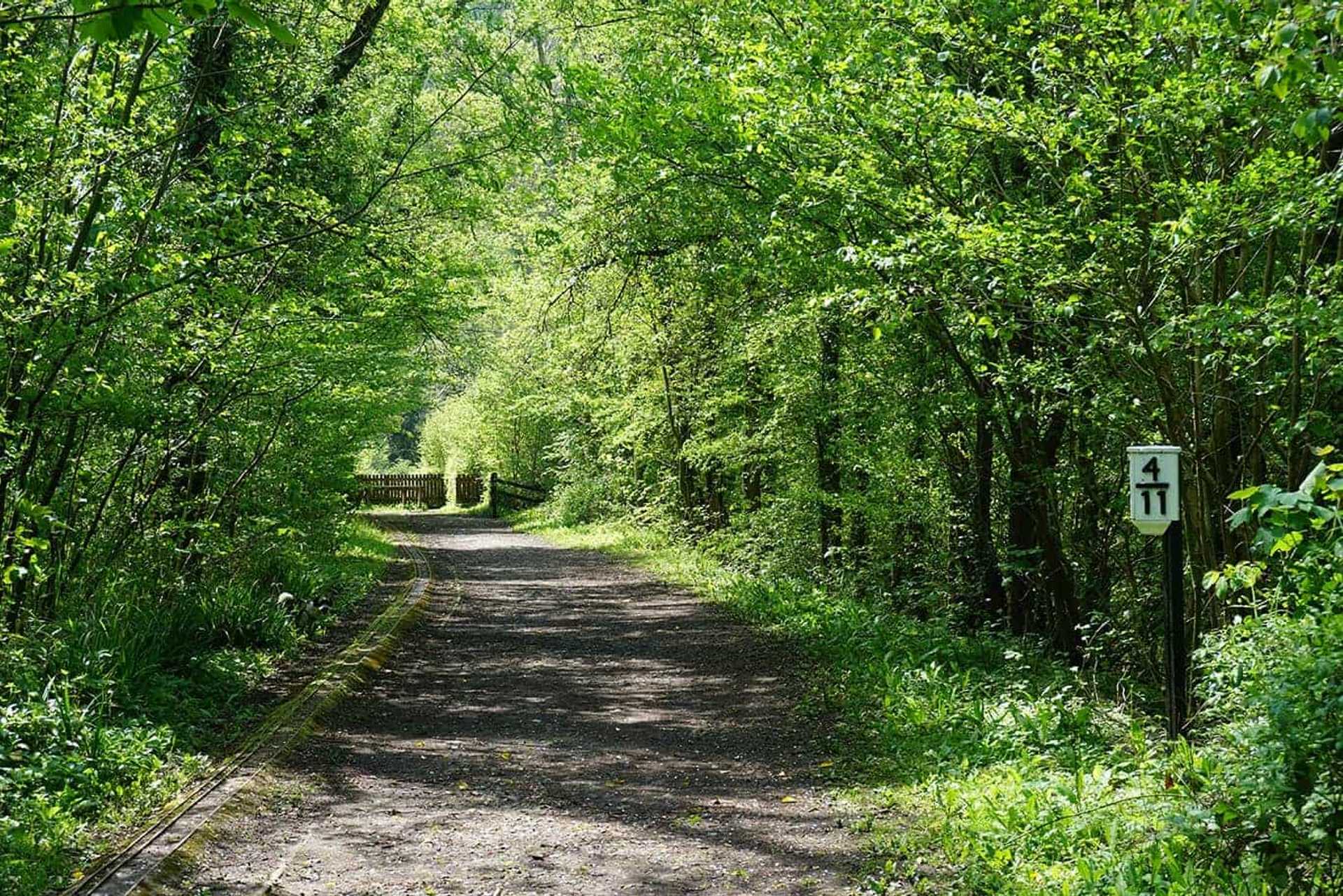 Circular Walking Route