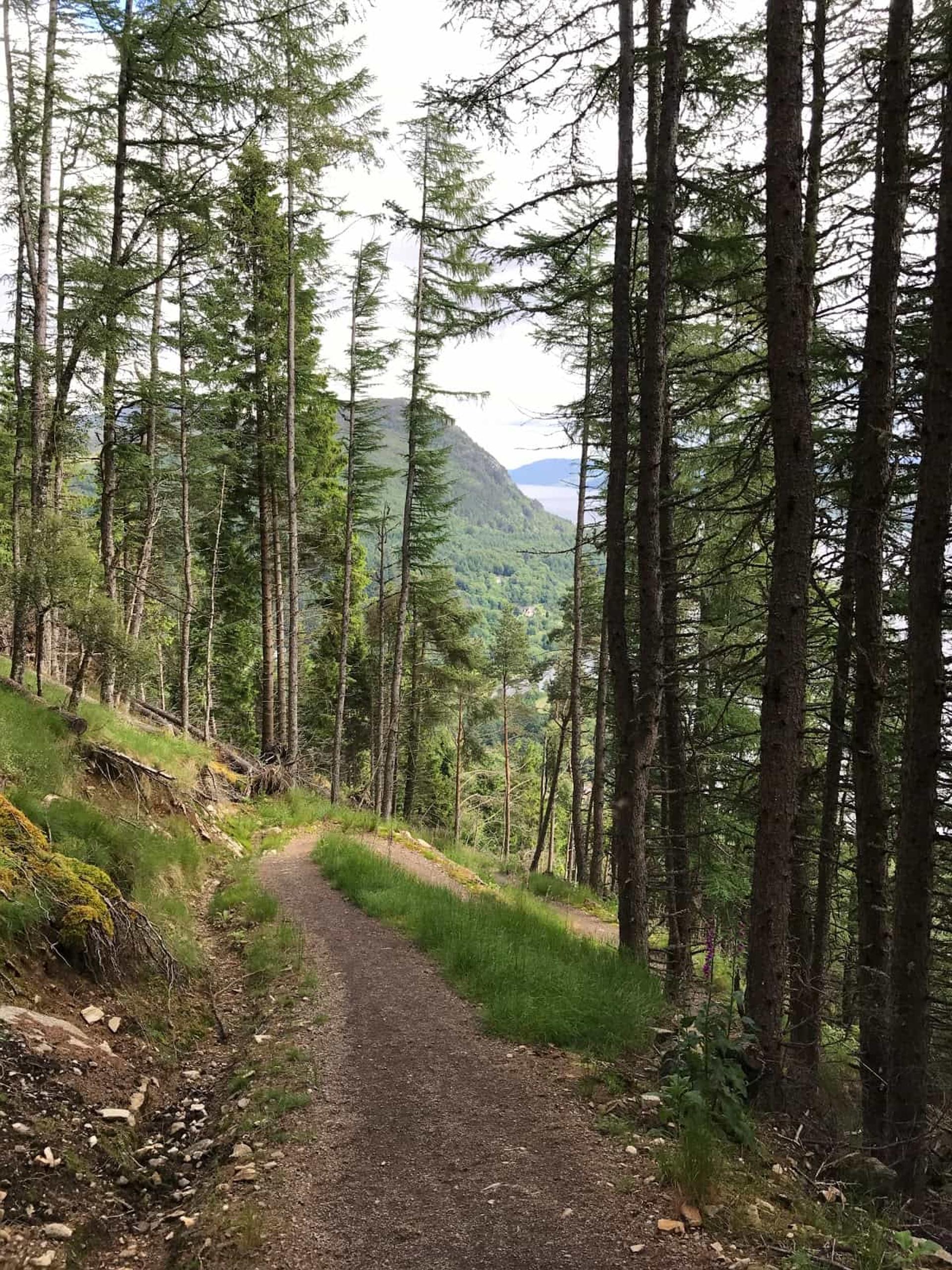 Descent into Invermoriston, Hiking the Great Glen Way