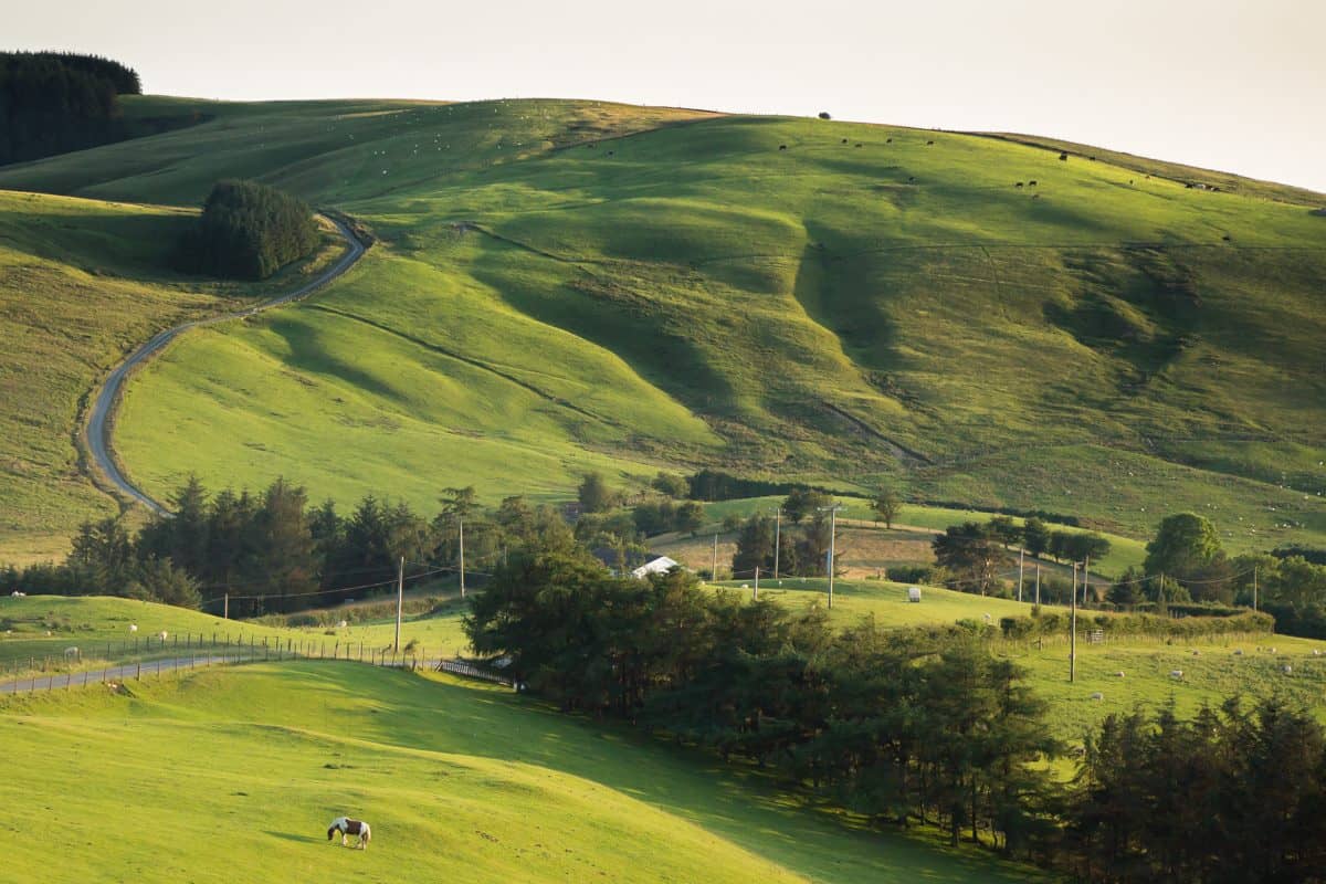Walking the Glyndwr's Way