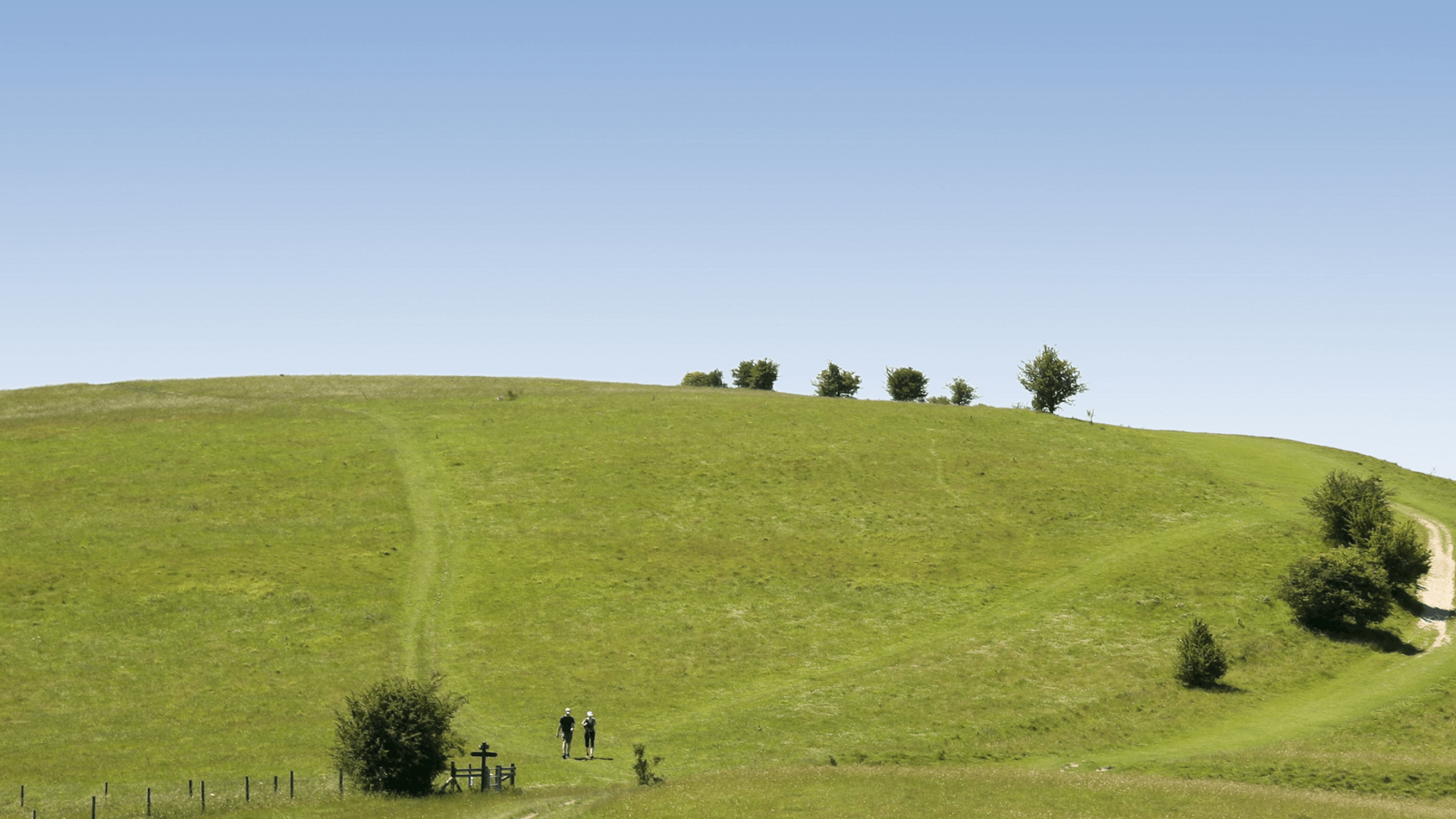 The Ridgeway