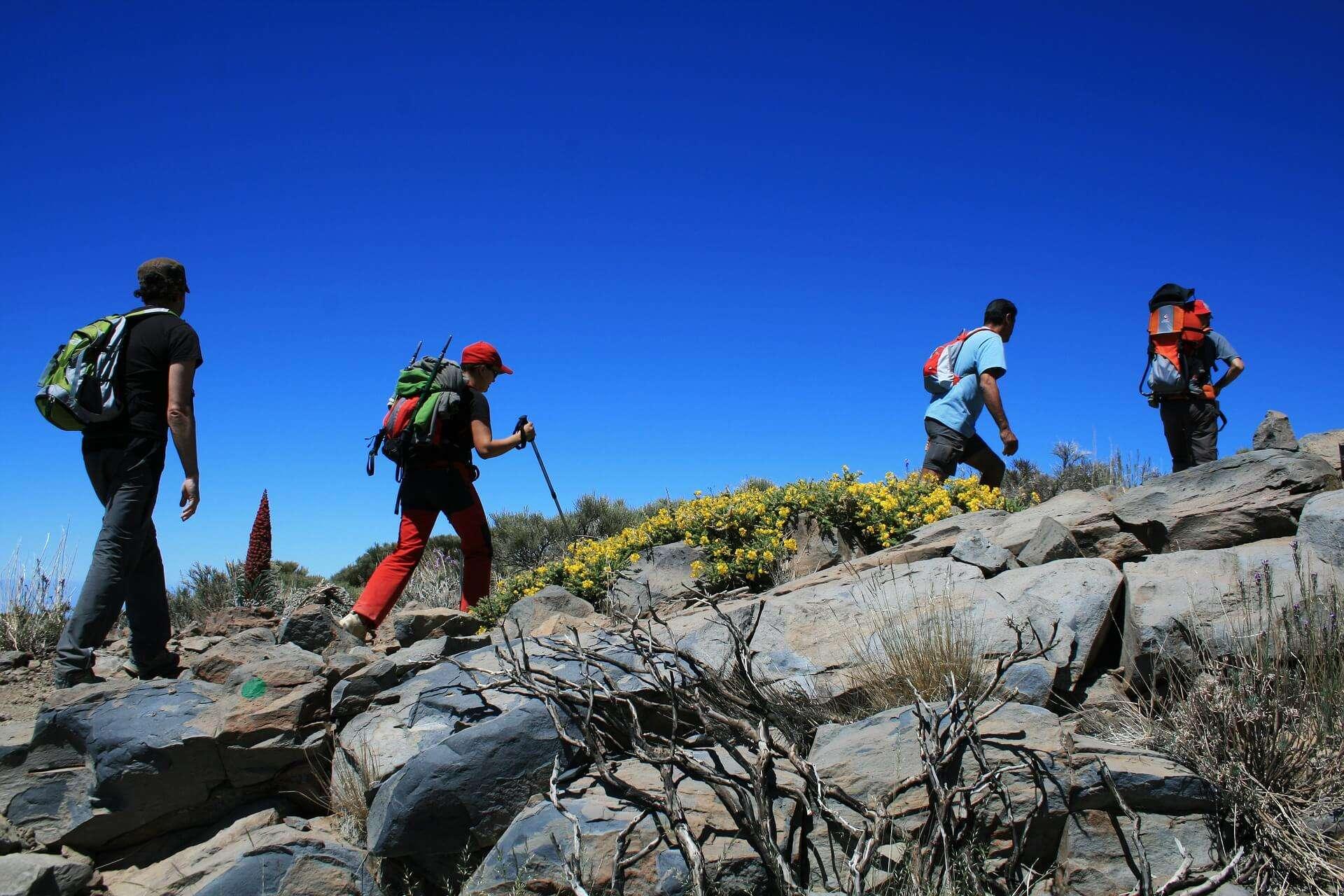walking-holidays-in-tenerife-canary-islands