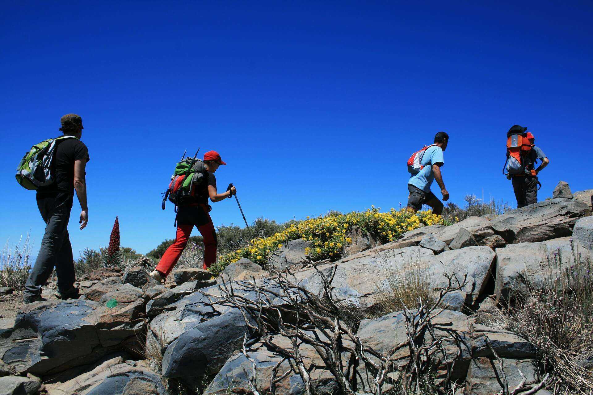 walking-holidays-in-tenerife-canary-islands