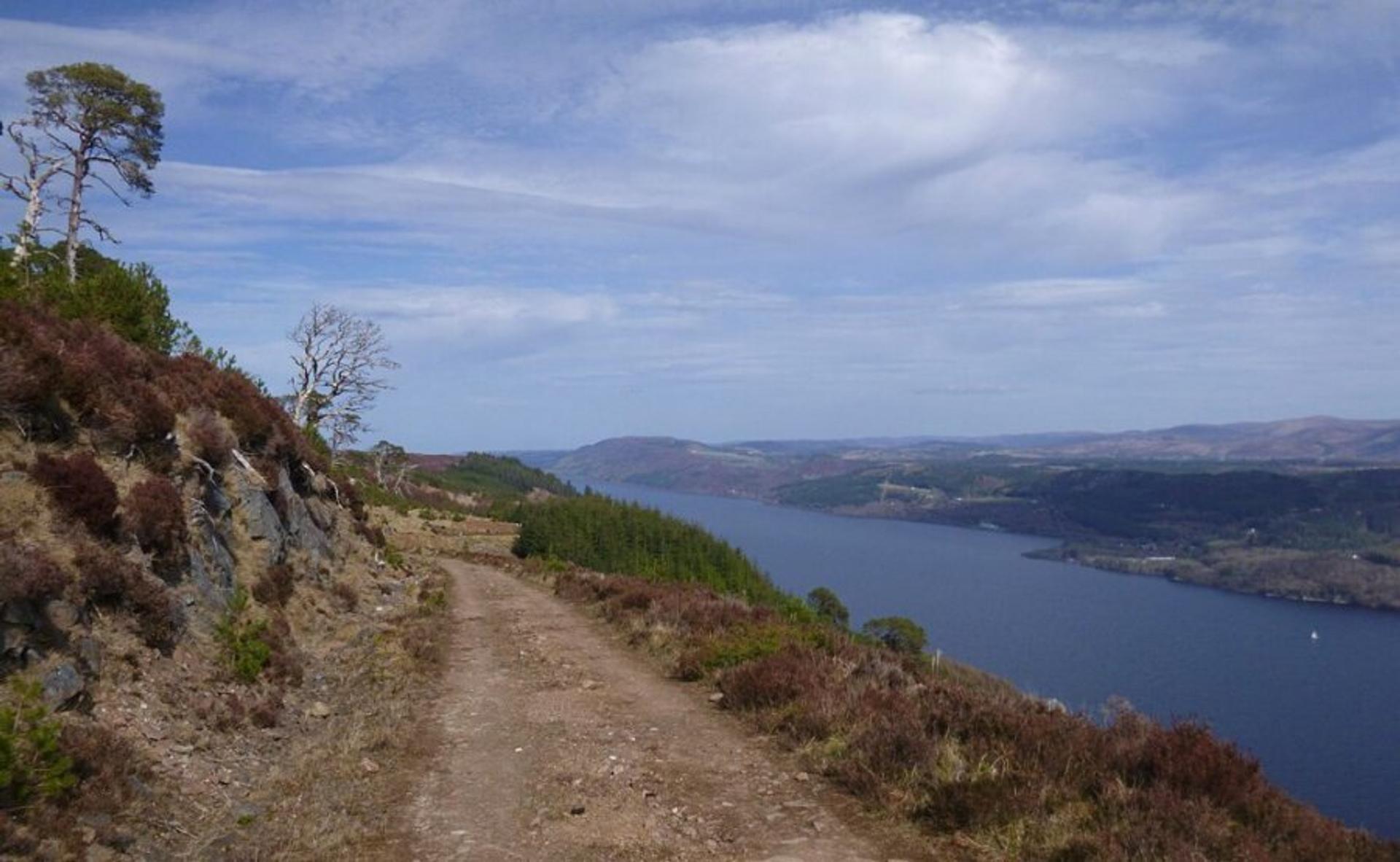 Creag nan Eun-Forest-Great-Glen-Way