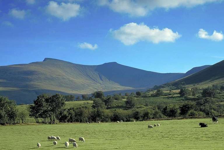 Brecon fields