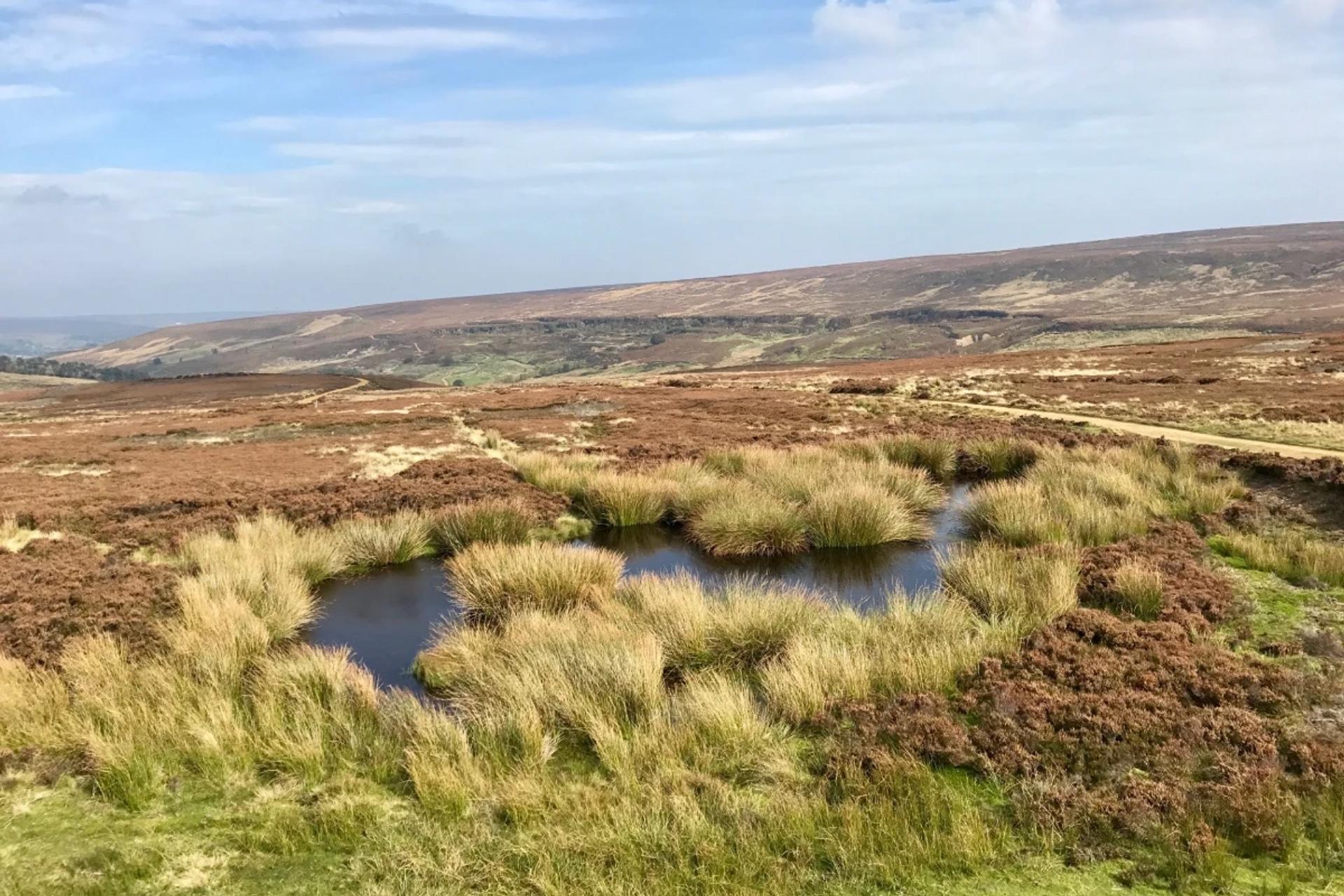 Moorland pools and open heathland on the Coast to Coast Walk