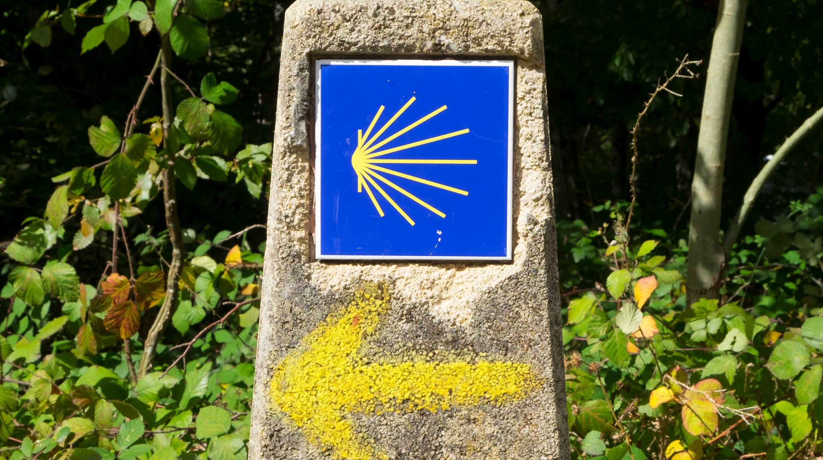 A stone marker with a blue sign showing a yellow scallop shell and a yellow arrow pointing left, set against a background of green foliage.