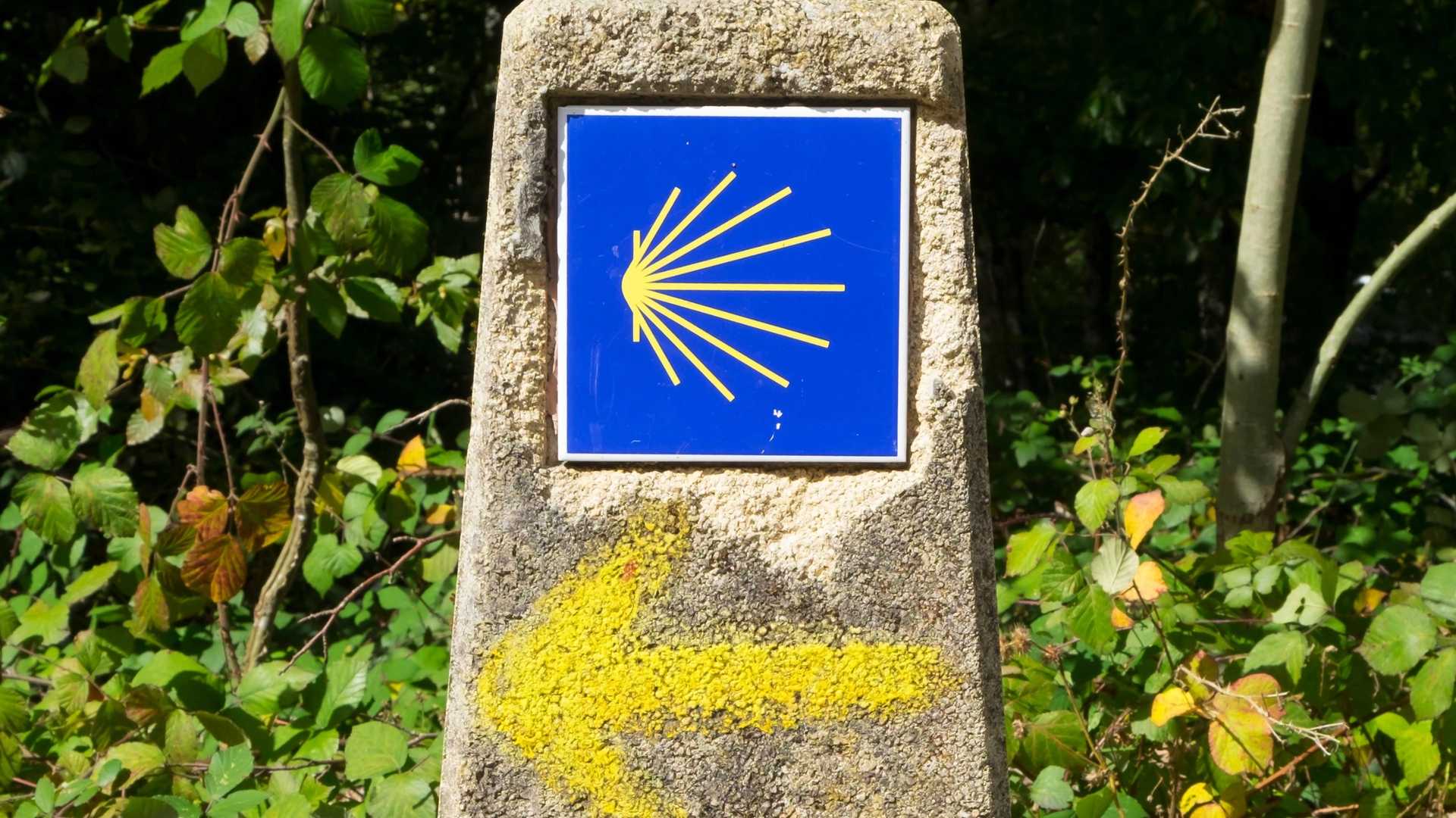 A stone marker with a blue sign showing a yellow scallop shell and a yellow arrow pointing left, set against a background of green foliage.