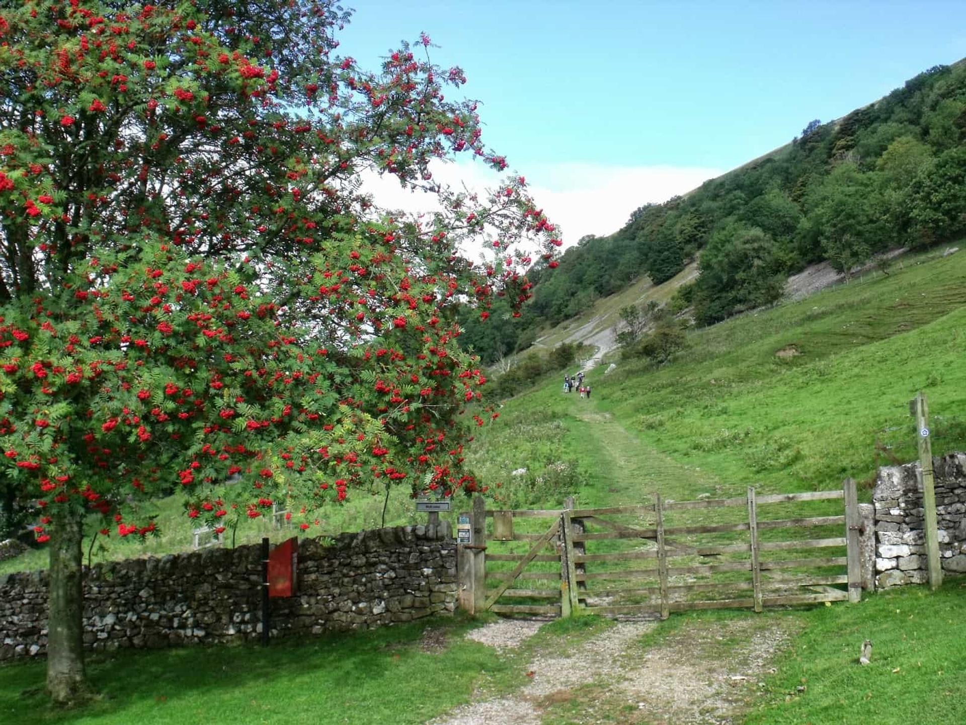 Buckden Rake, Yockenthwaite and the Wharfe on the Dales Way Walking Holiday