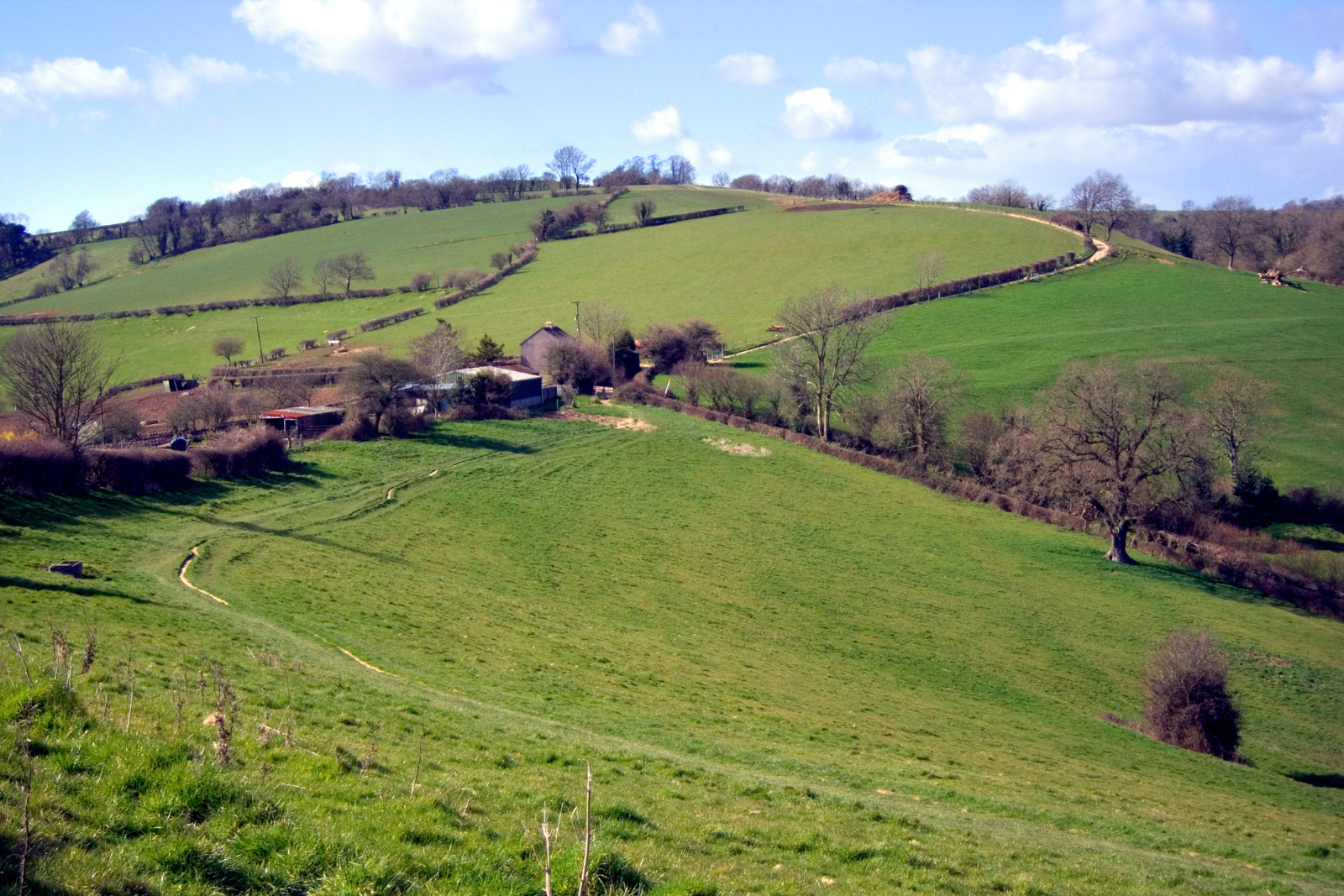 Rolling green hills and field paths along the Cotswold Way.