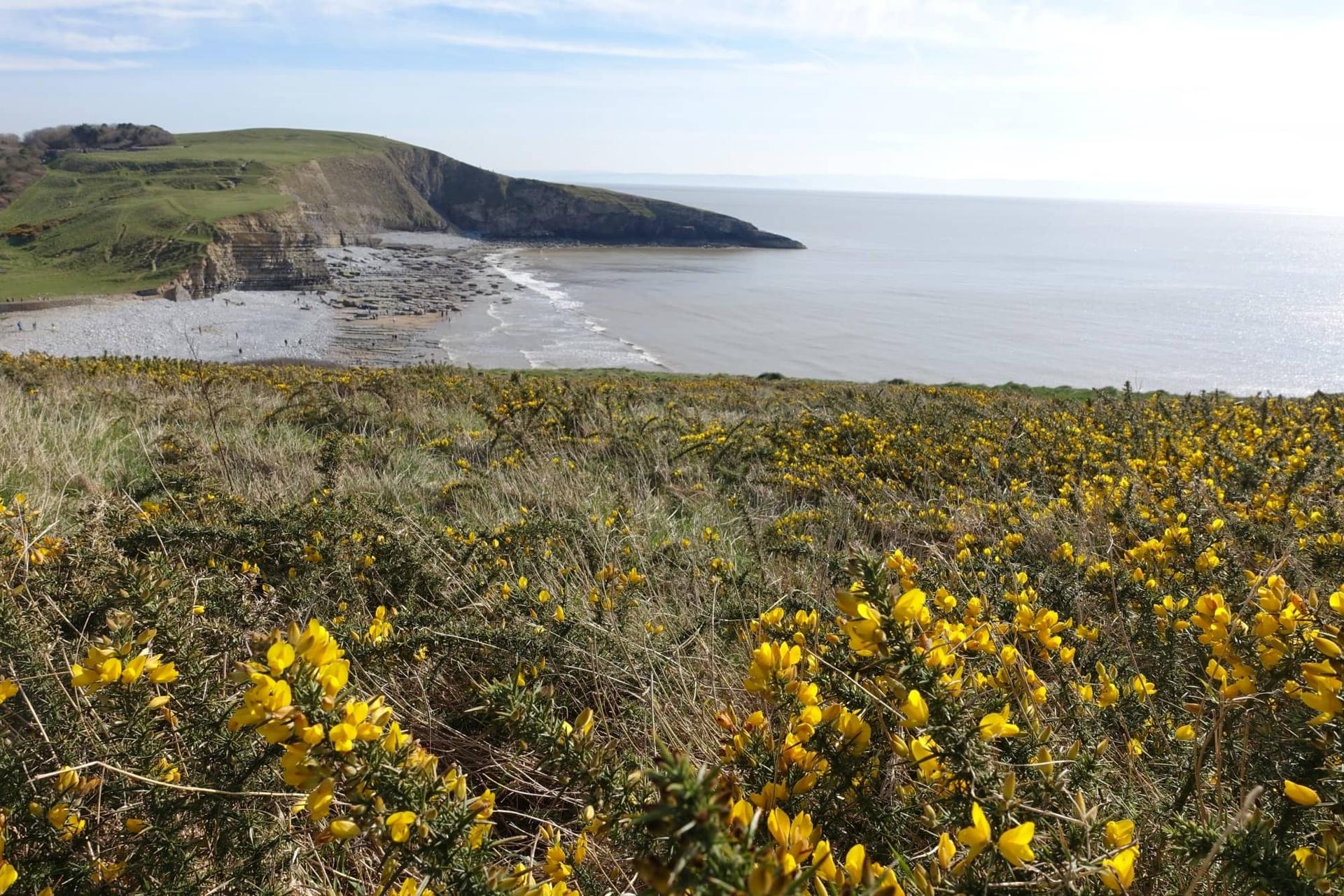 Doutherndown South Wales Severn Estuary Wales Coast Path