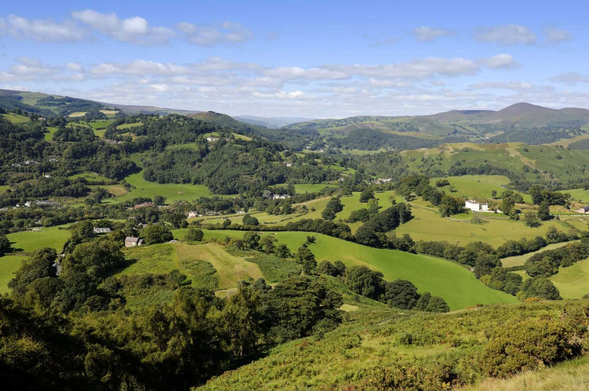 Radnor's Forest (from Offa's Dyke) Mid Wales Scenery
