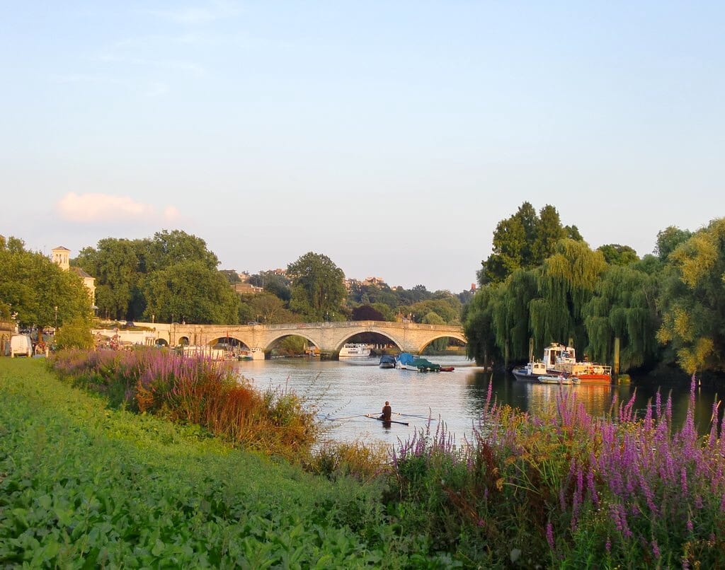 Walking Thames Path - Richmond