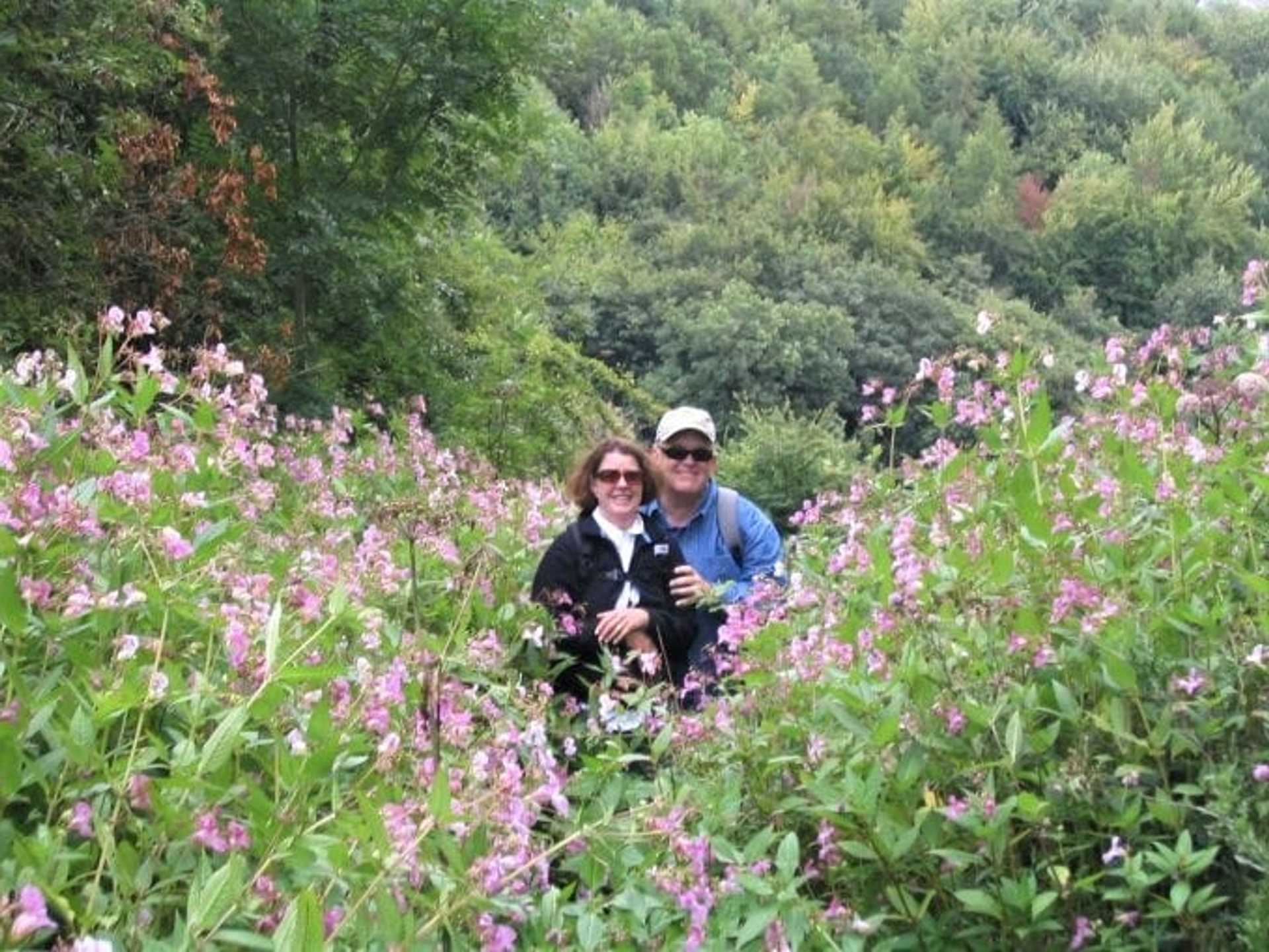 Cotswolds 12 Aug