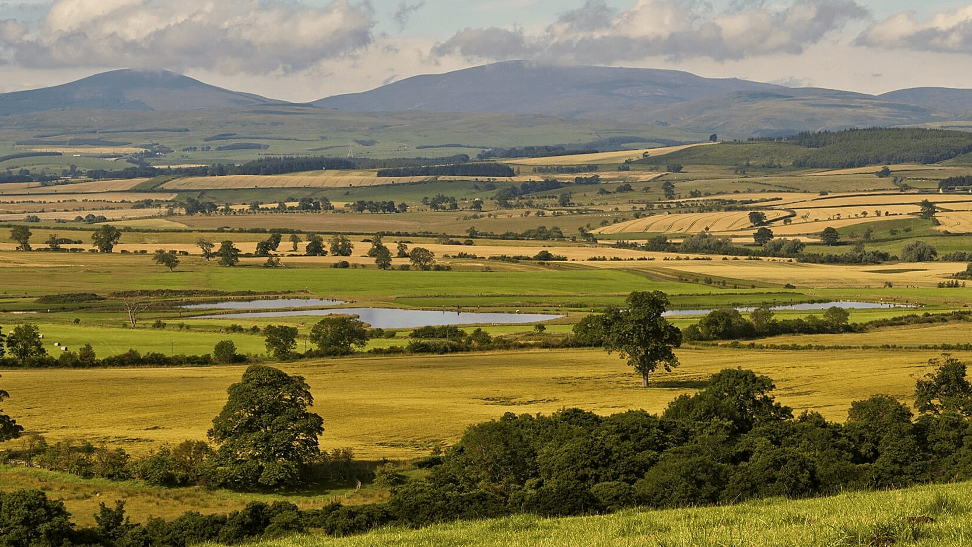 Walks in Northumberland