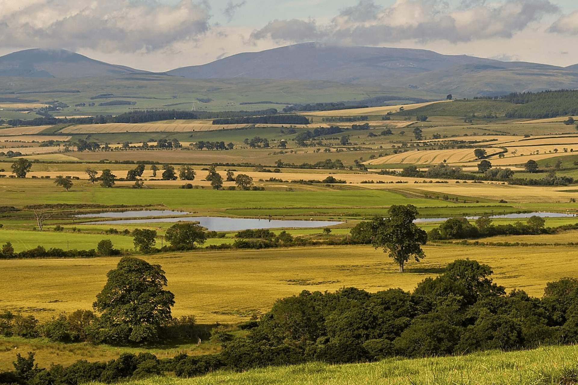 Walks in Northumberland