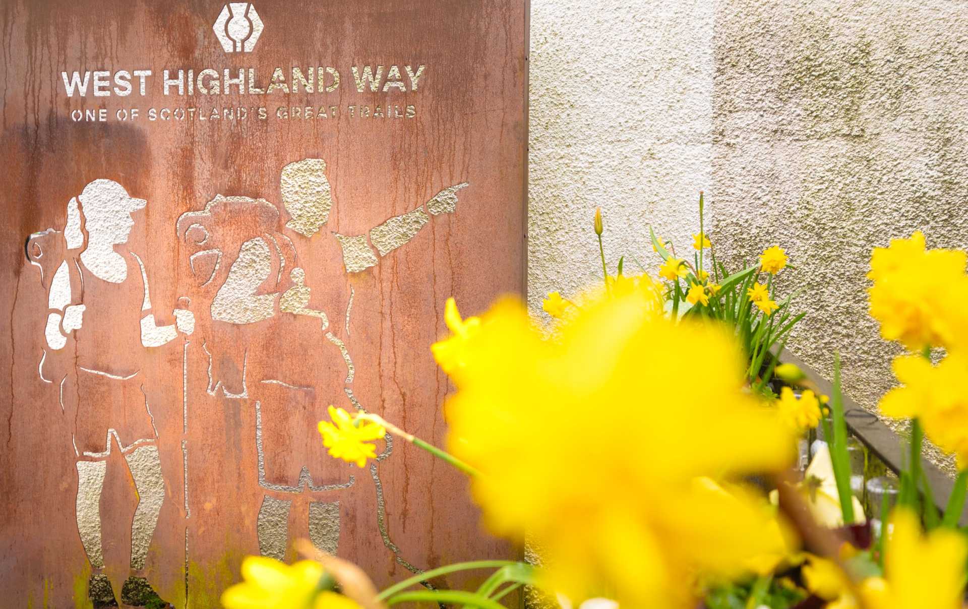 West Highland Way sign with spring daffodils in the foreground.