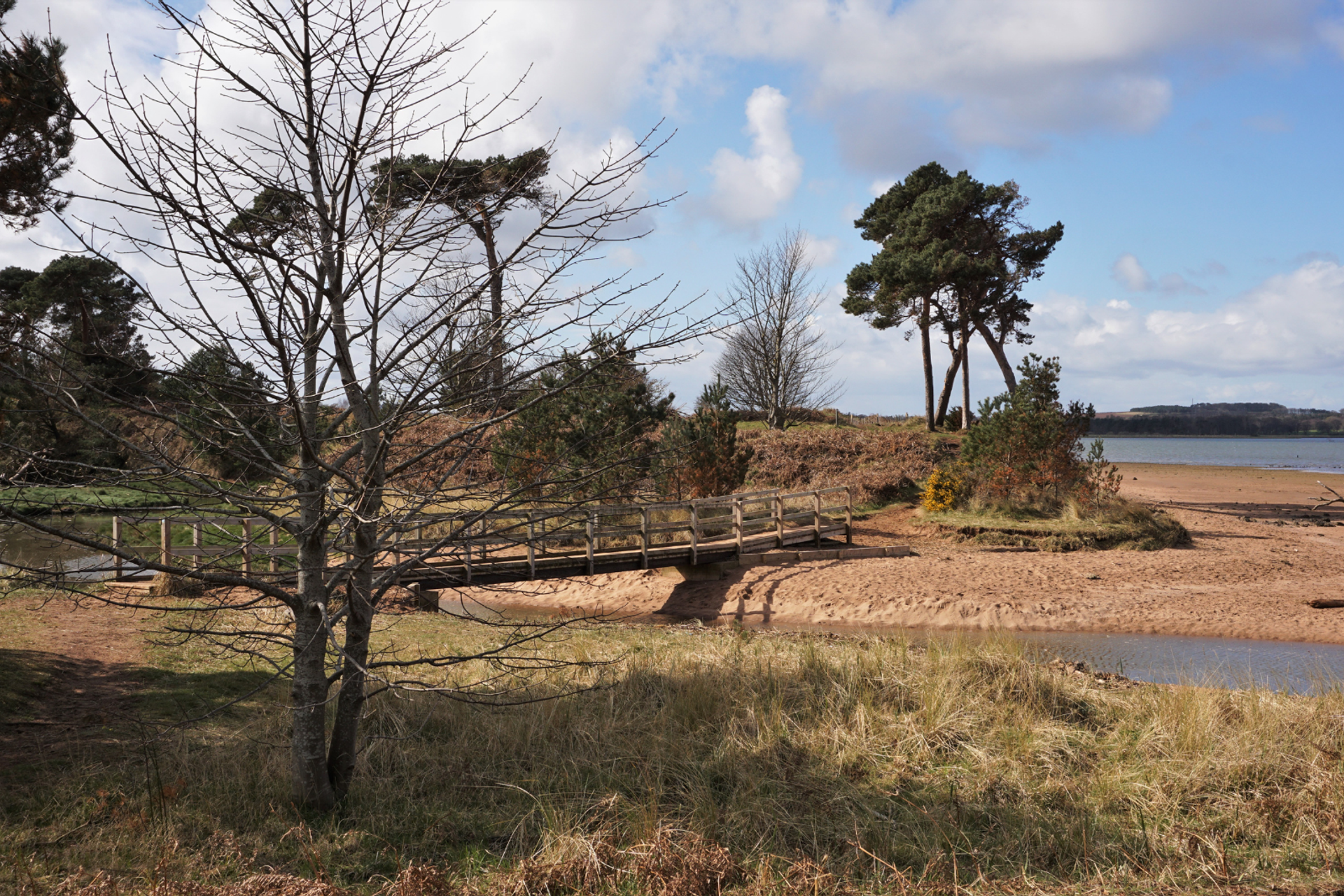 Wooden footbridge crossing a sandy section of the John Muir Way.