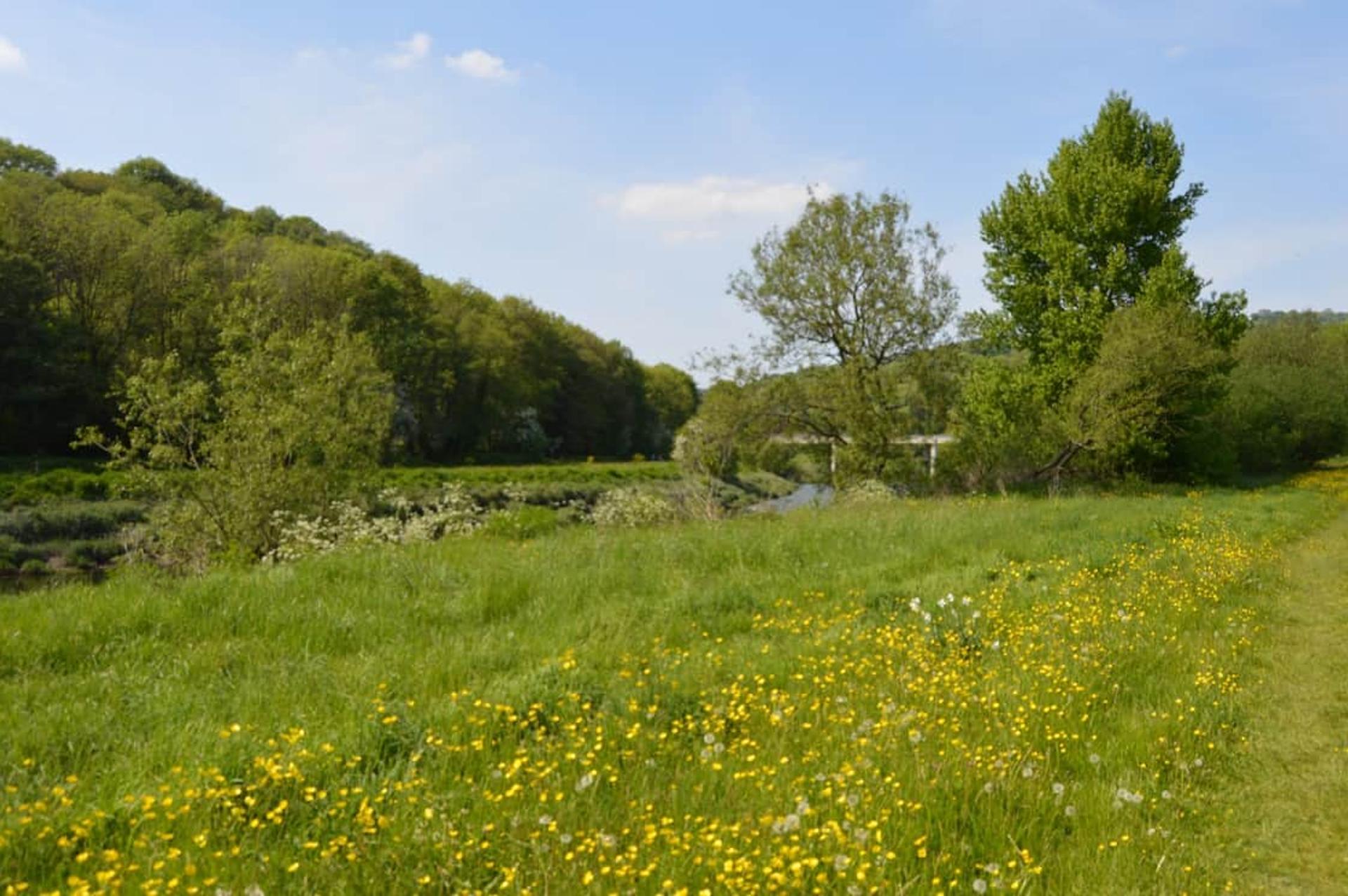 Walking Route River Wye