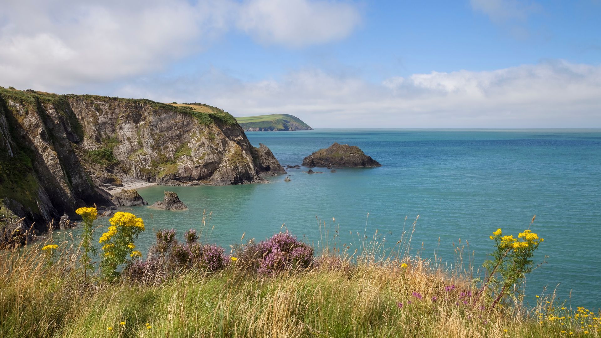 Pembrokeshire coastline with rocky cliffs, a sheltered cove and wildflowers above the sea.
