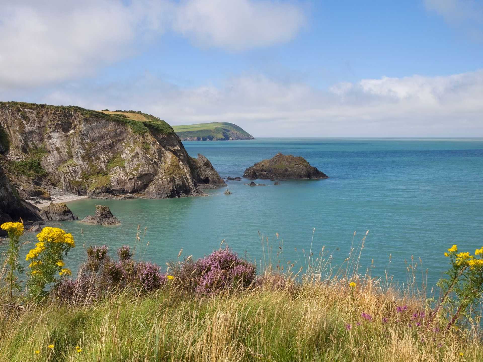 Pembrokeshire coastline with rocky cliffs, a sheltered cove and wildflowers above the sea.
